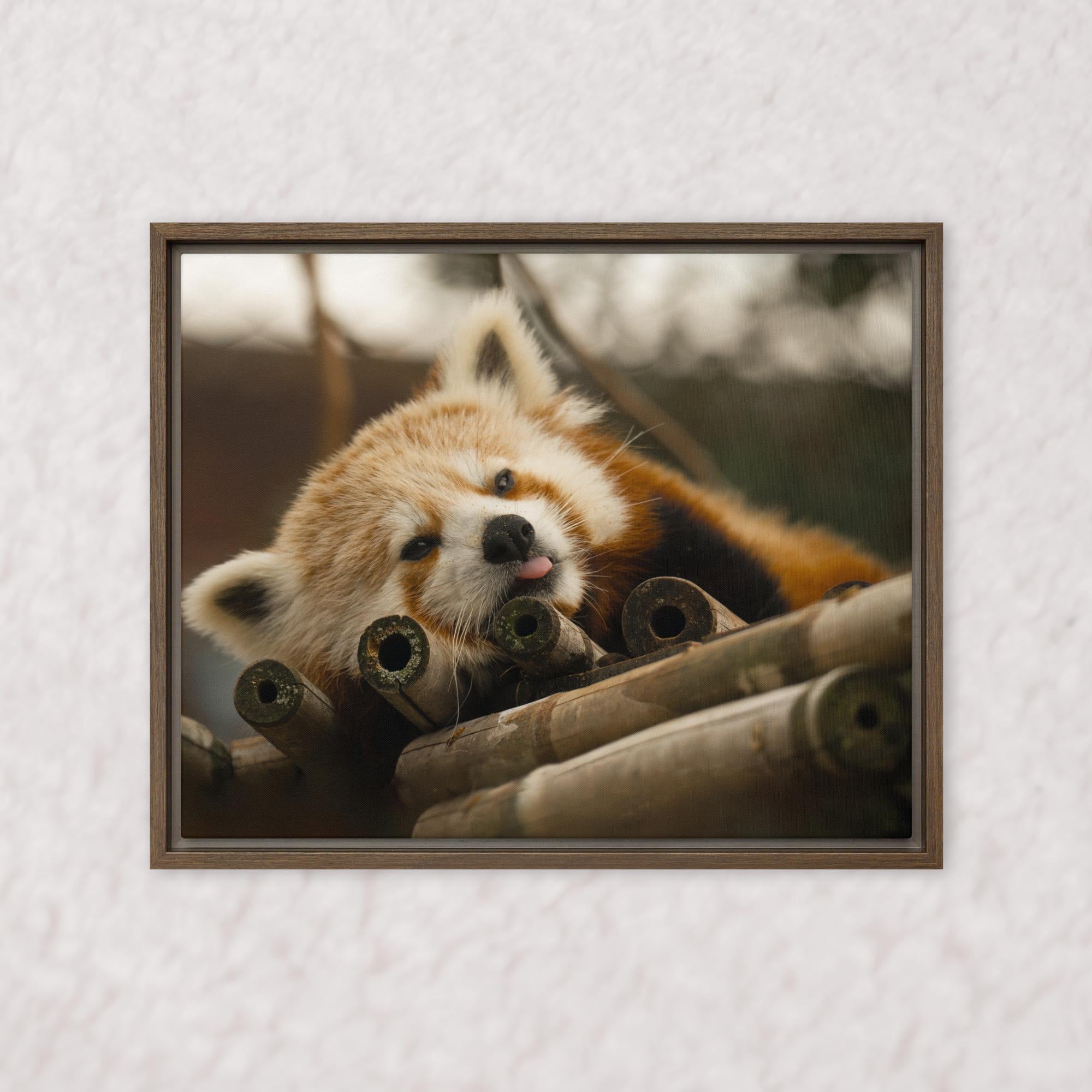 Cradled in Bamboo (Framed)