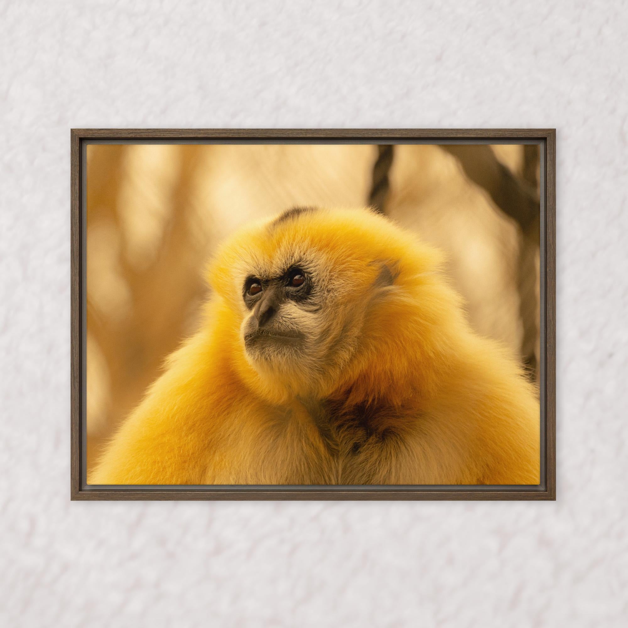 Jungle Gold (Framed)