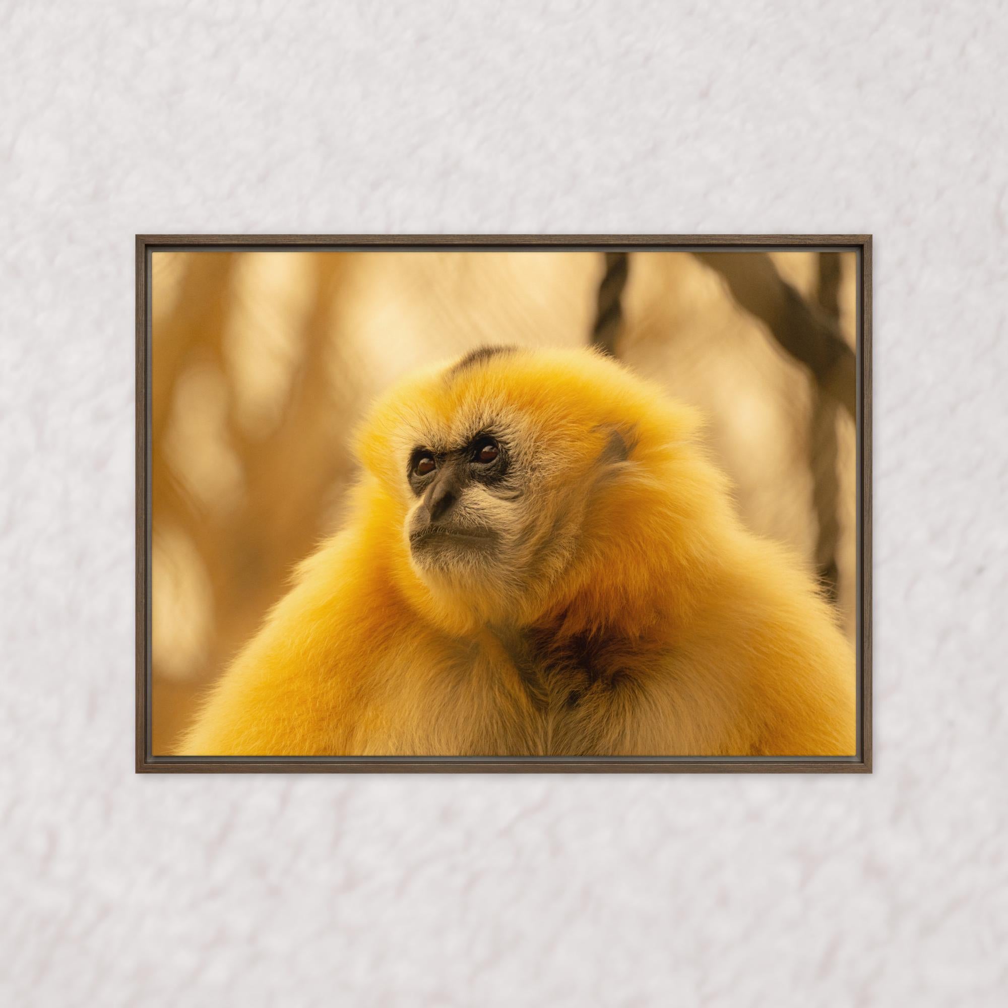 Jungle Gold (Framed)