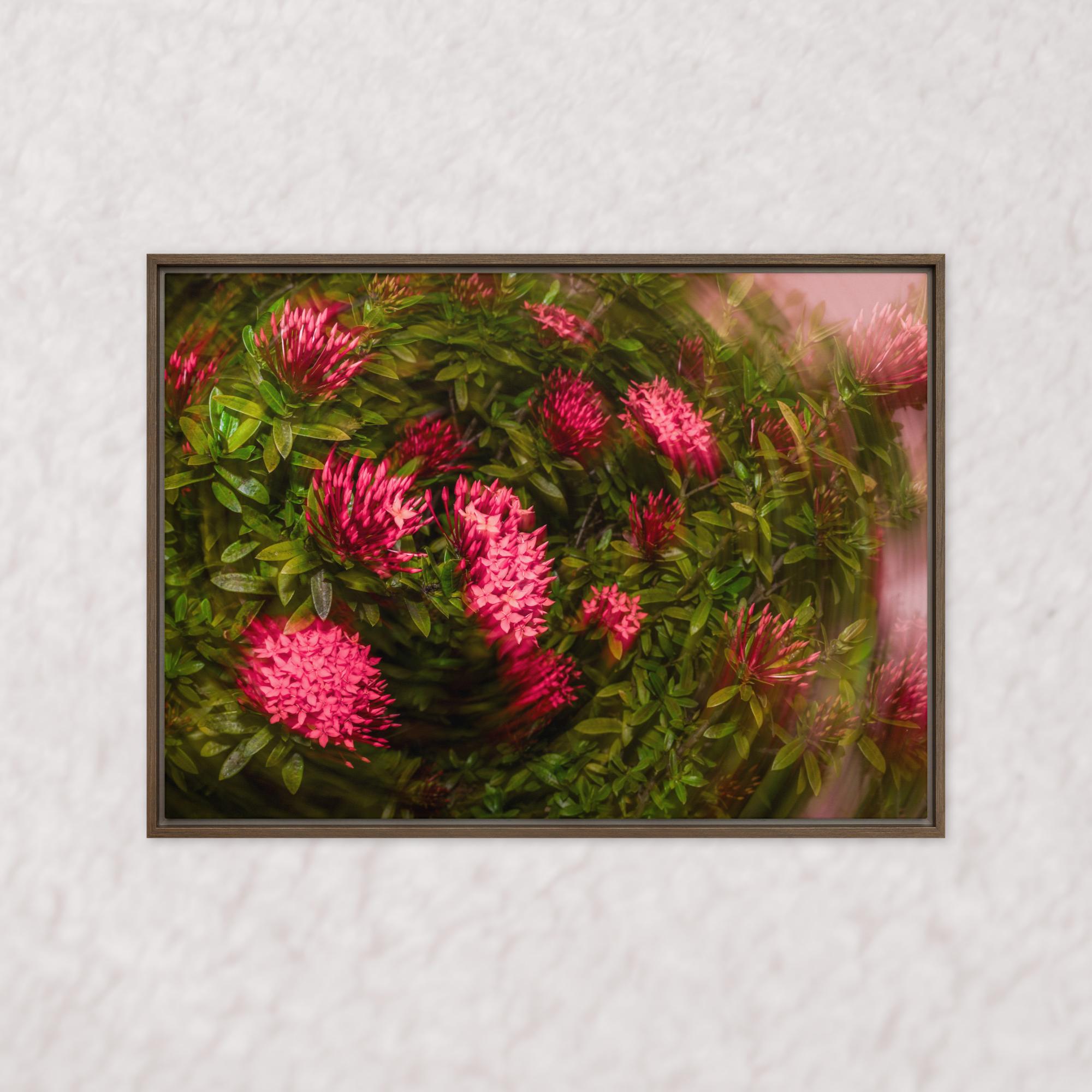 Spiraling Blossoms (Framed)