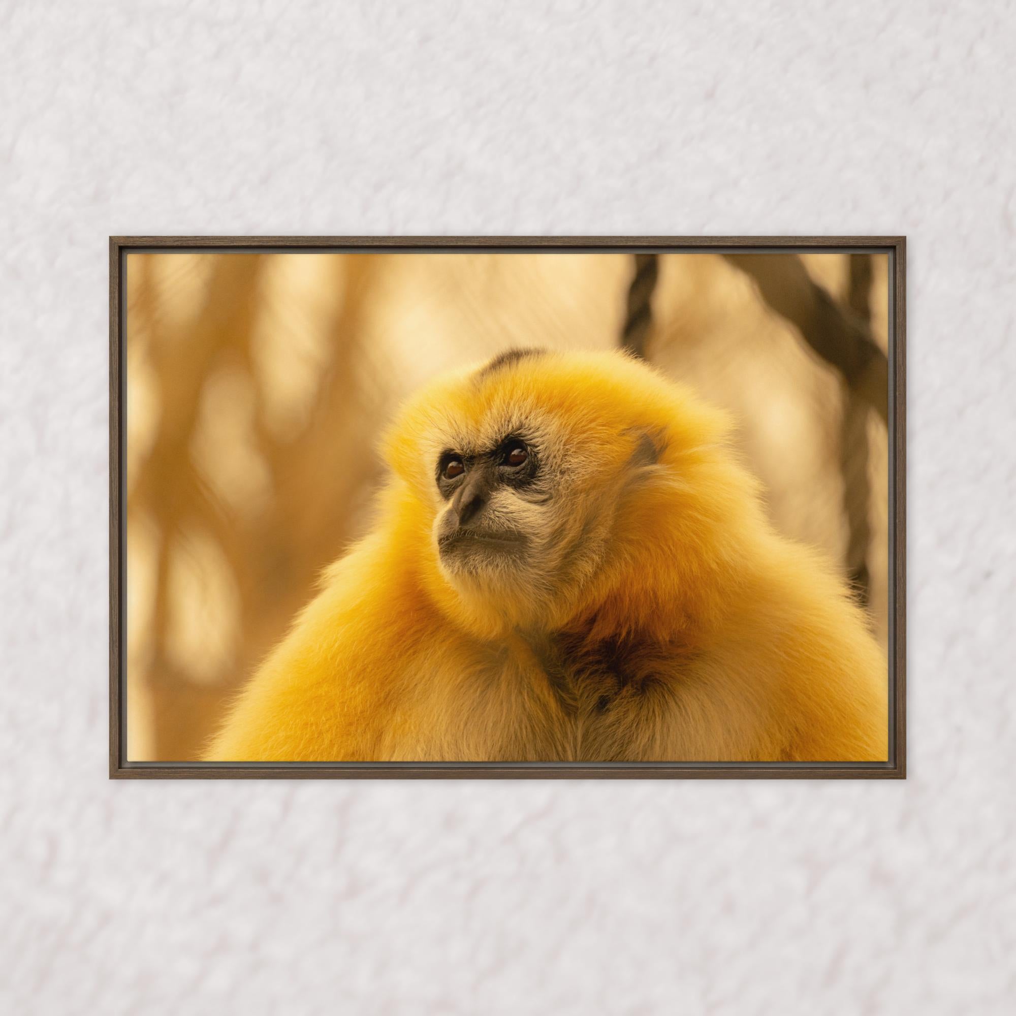 Jungle Gold (Framed)