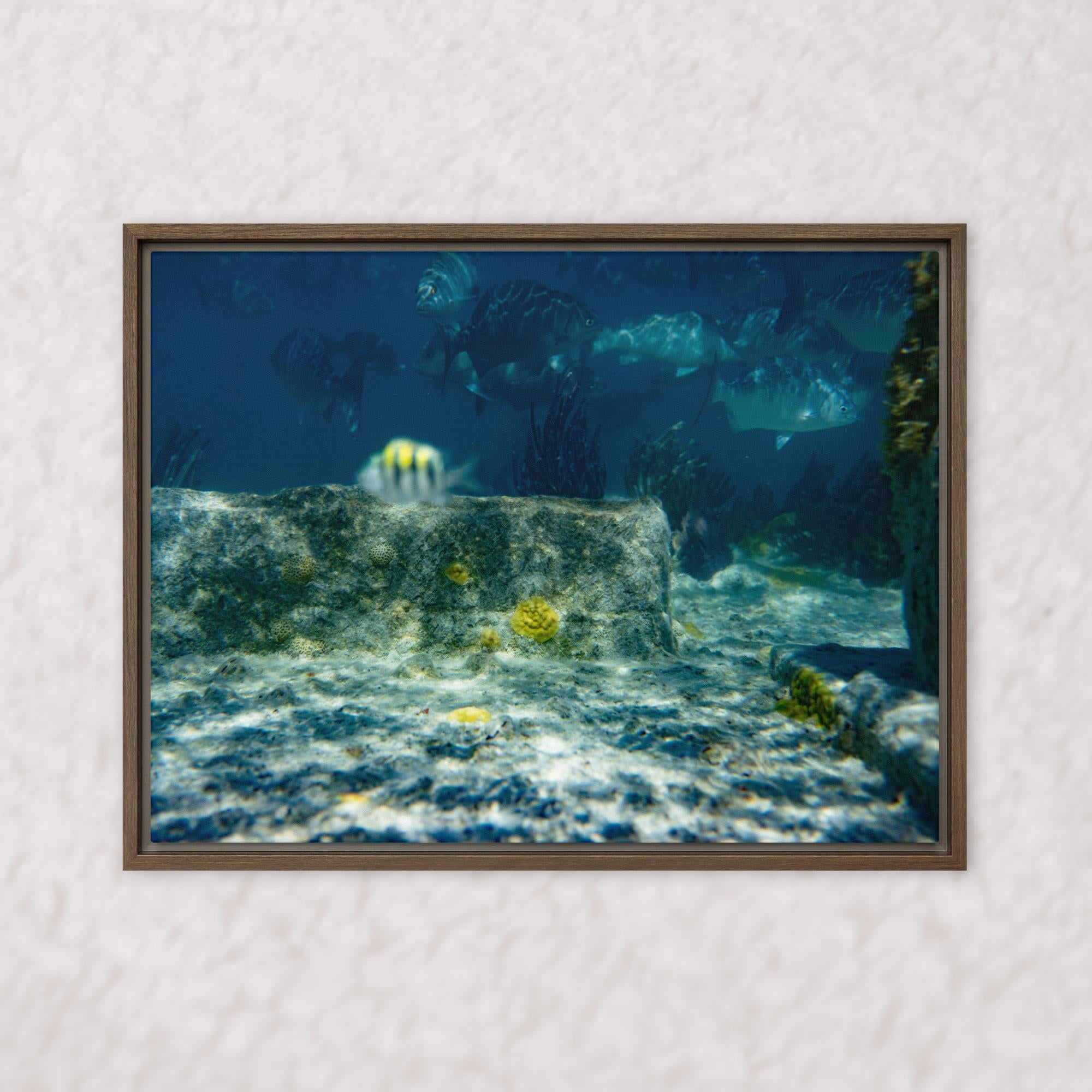 Drifted Depths (Framed)