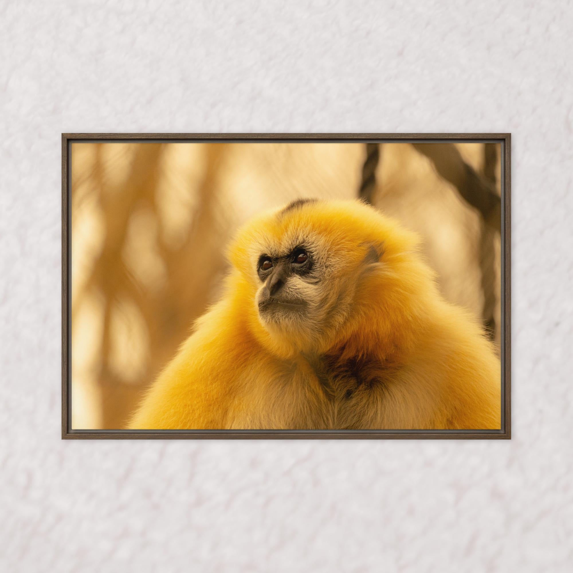 Jungle Gold (Framed)