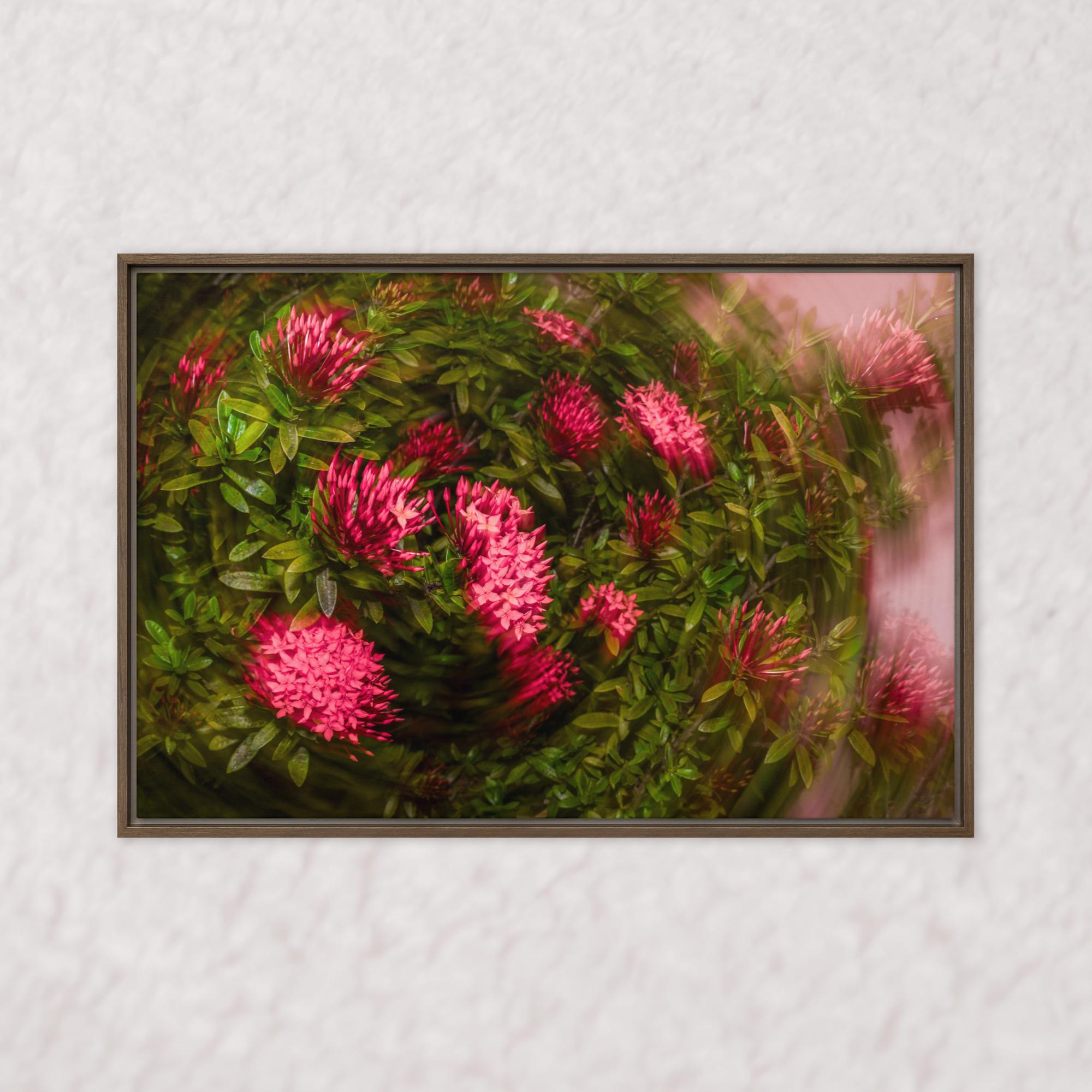 Spiraling Blossoms (Framed)