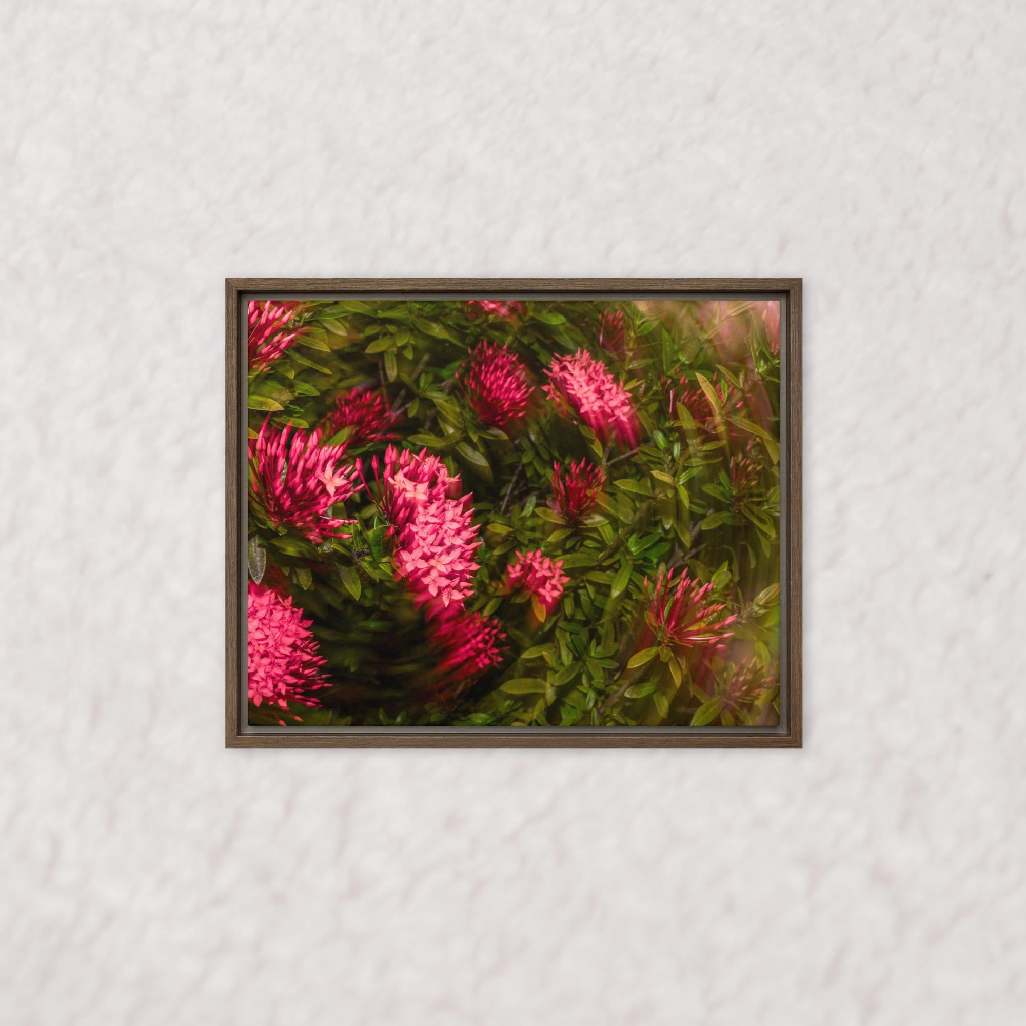 Spiraling Blossoms (Framed)