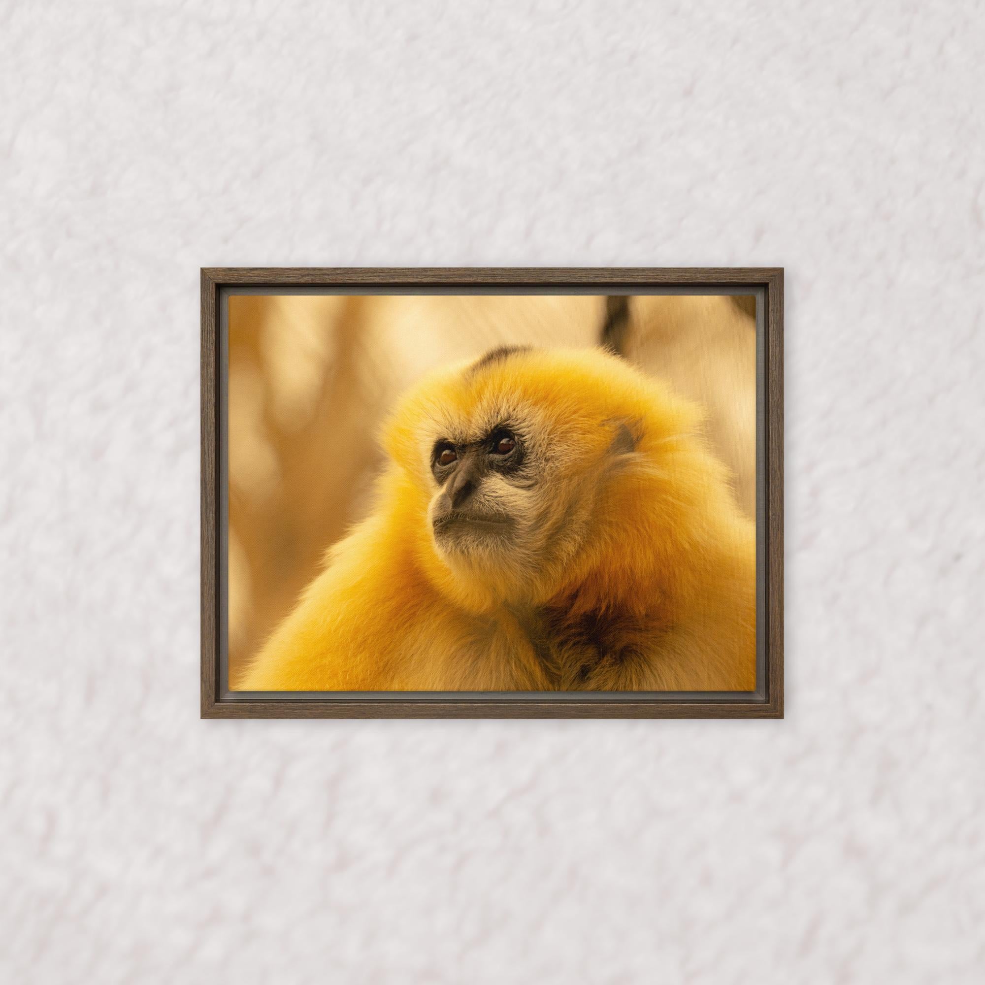 Jungle Gold (Framed)