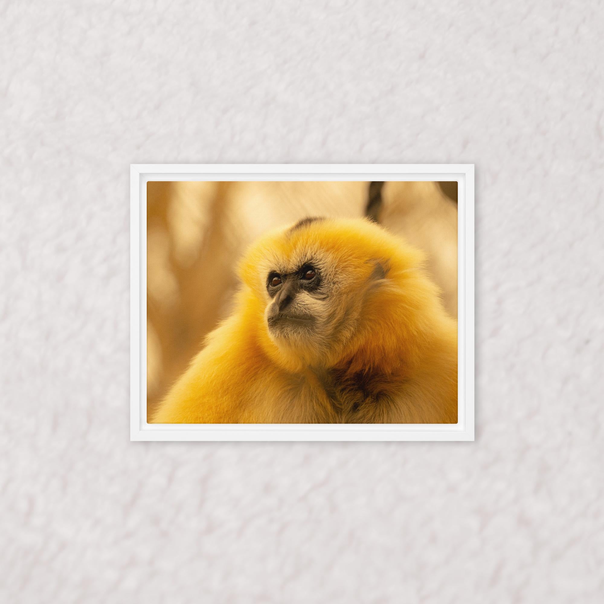 Jungle Gold (Framed)