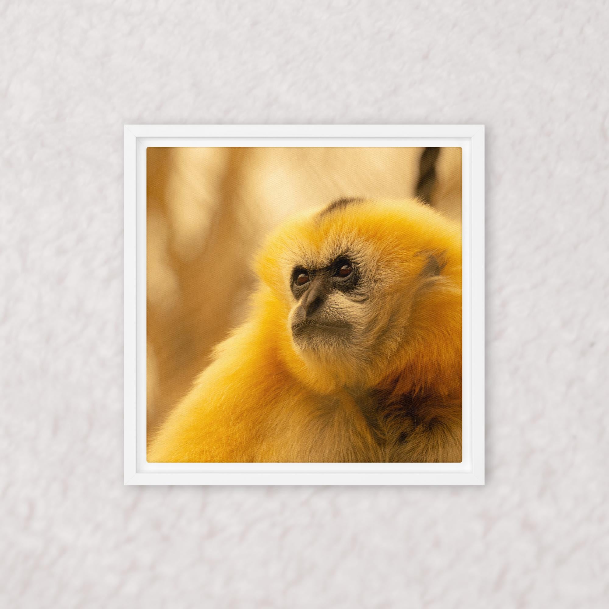 Jungle Gold (Framed)