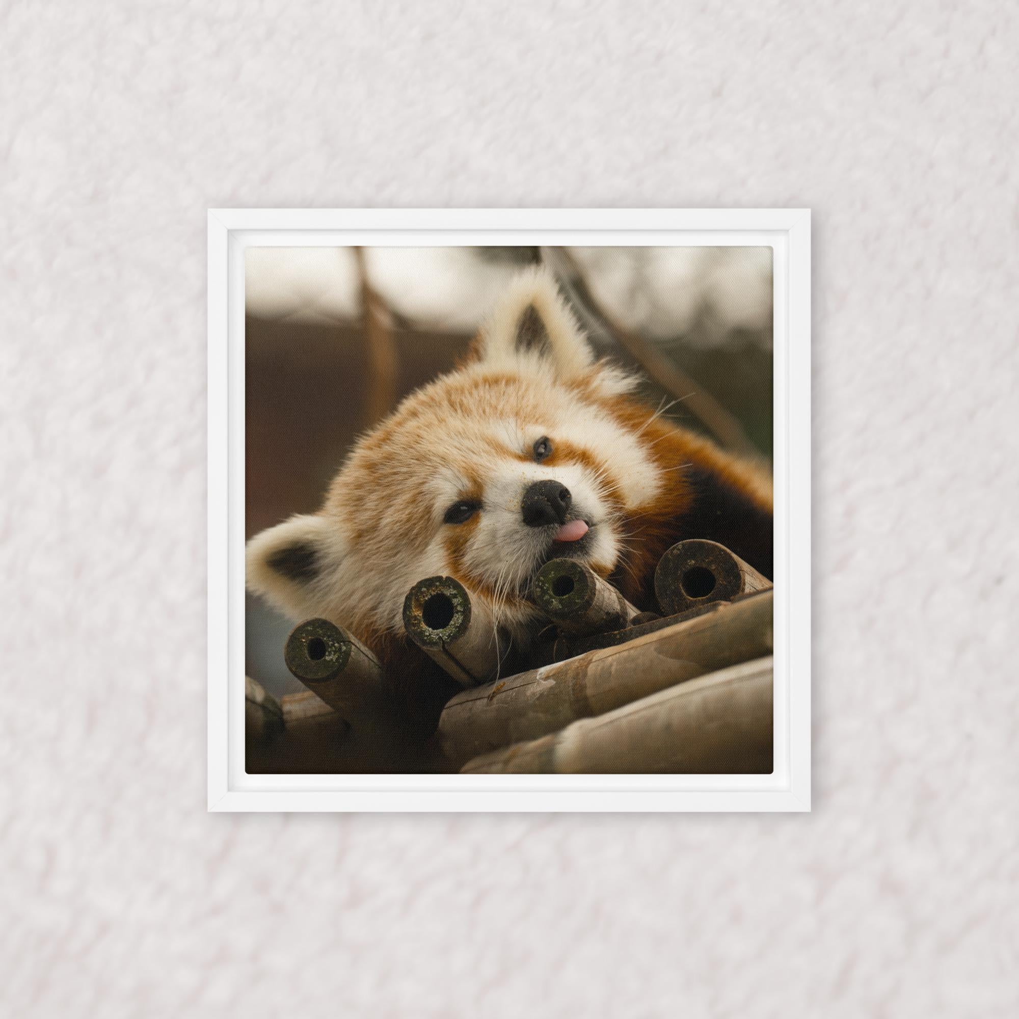 Cradled in Bamboo (Framed)