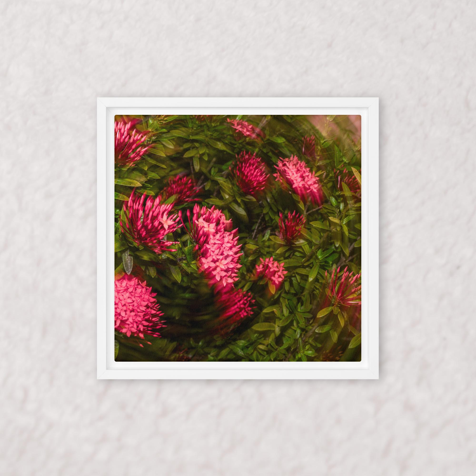 Spiraling Blossoms (Framed)