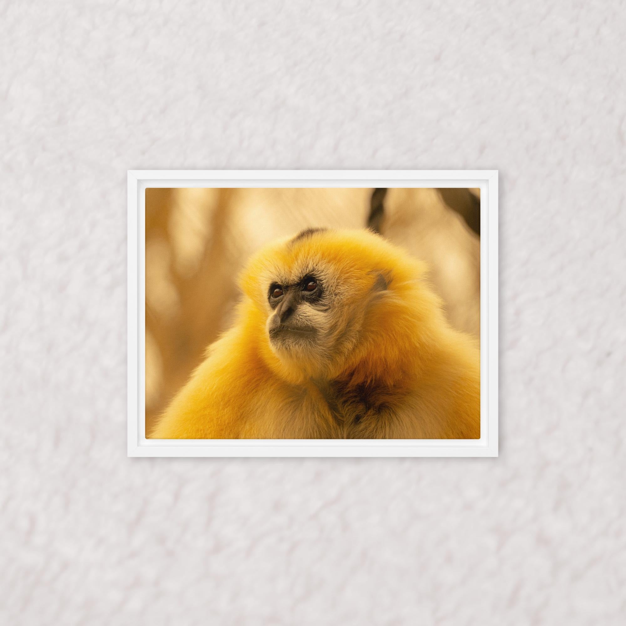 Jungle Gold (Framed)