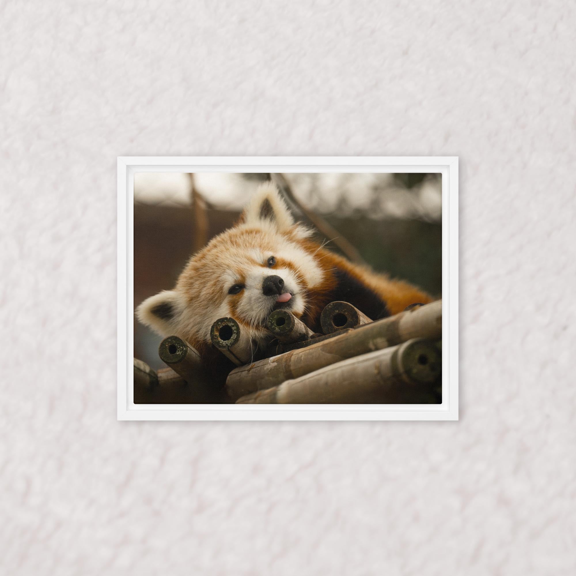 Cradled in Bamboo (Framed)