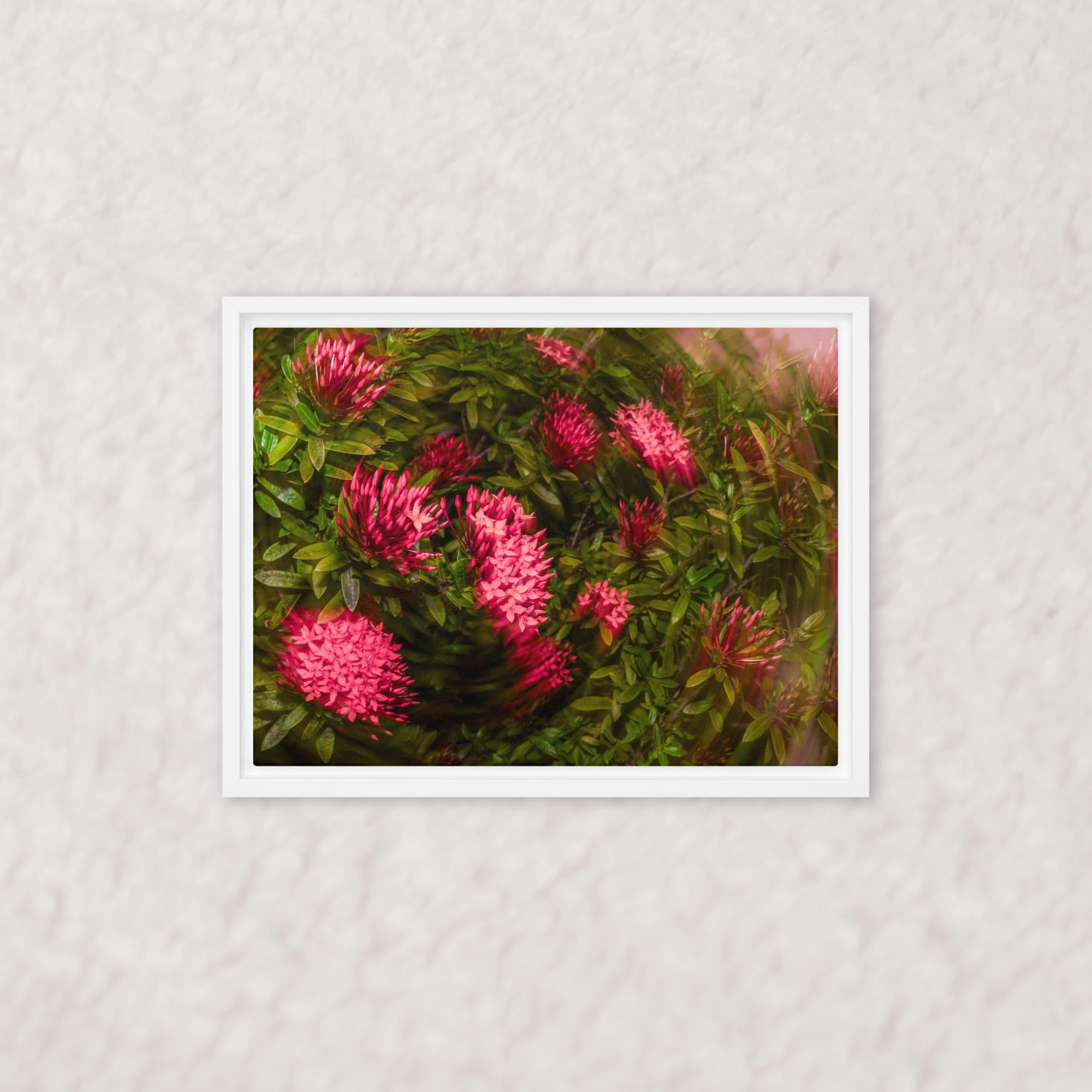 Spiraling Blossoms (Framed)