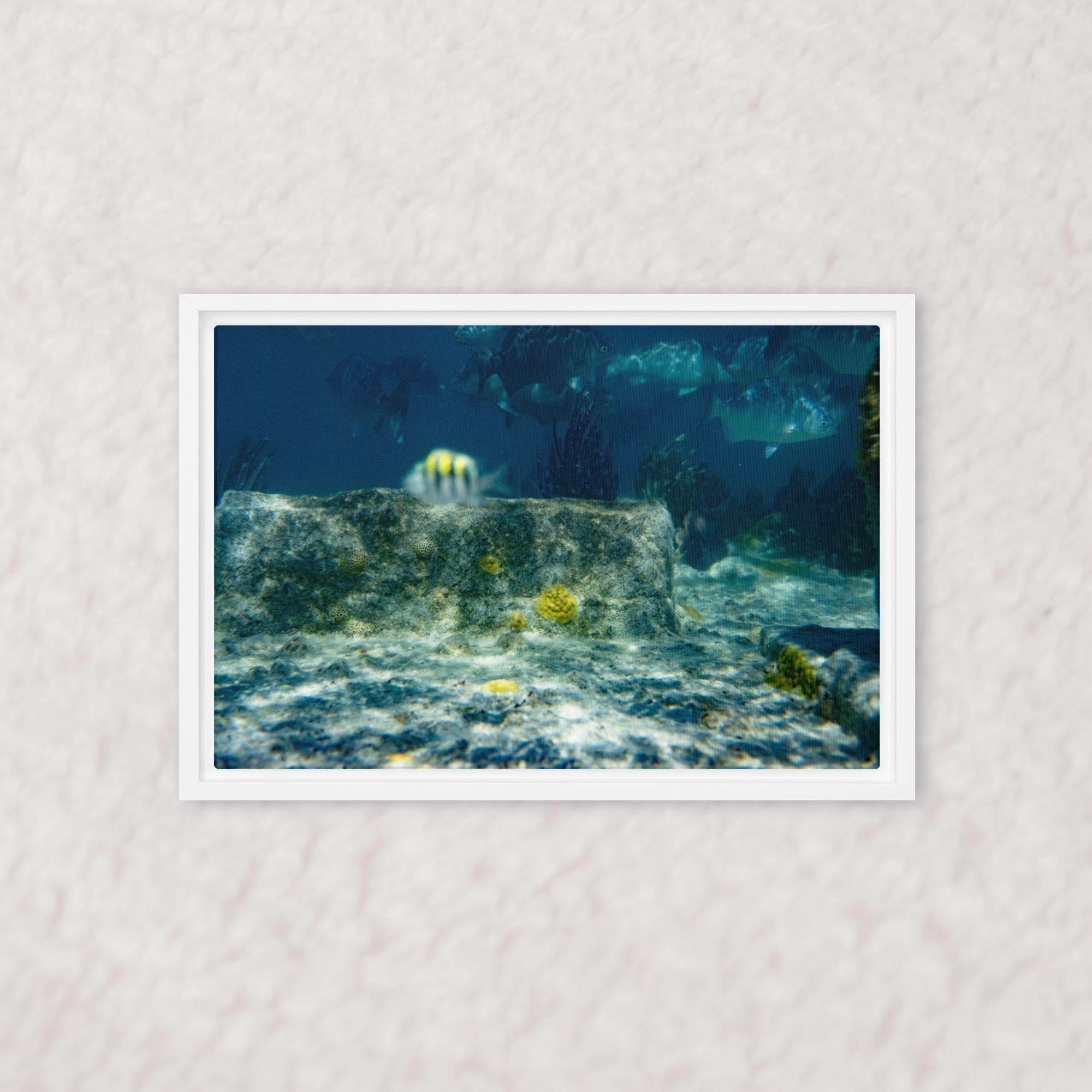 Drifted Depths (Framed)