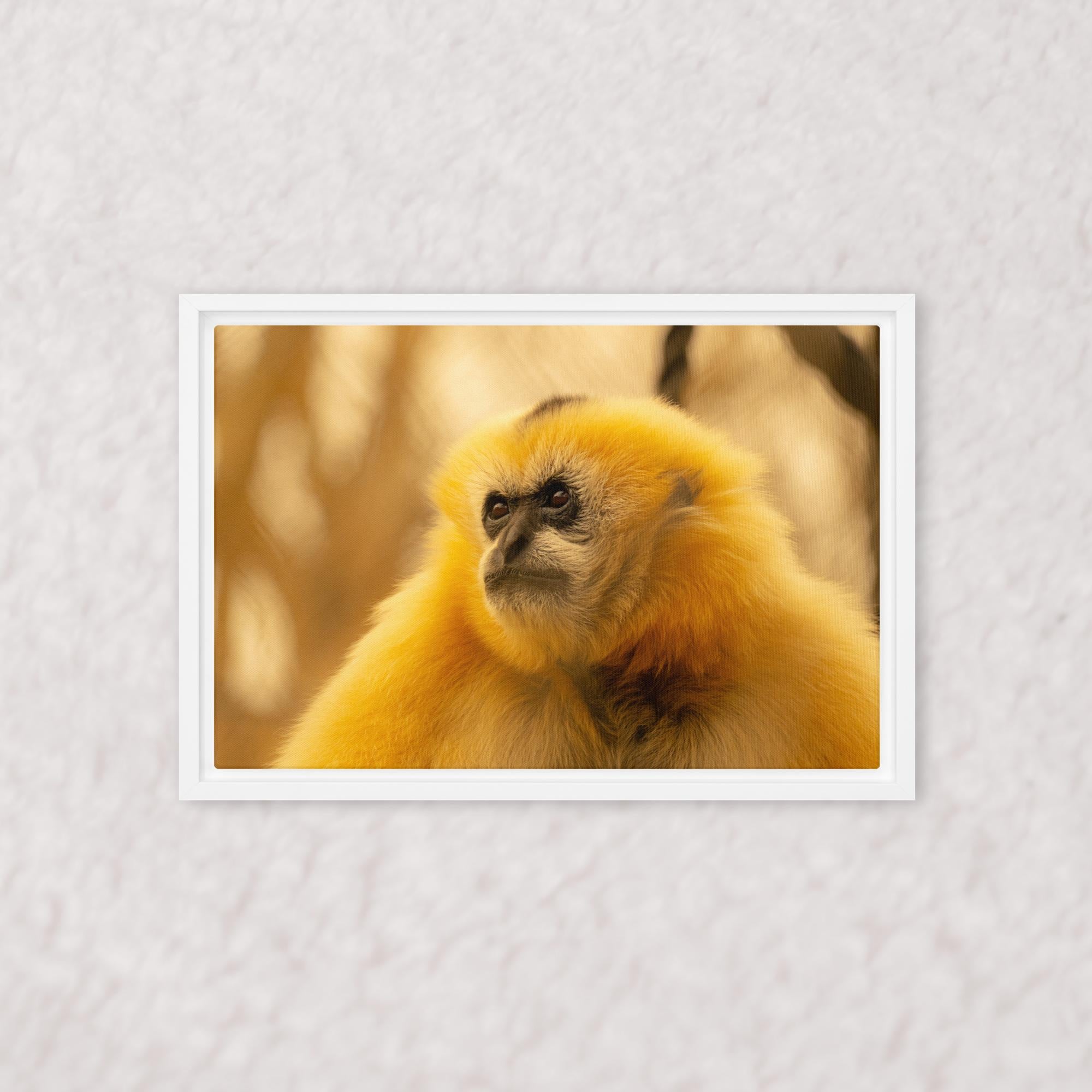 Jungle Gold (Framed)