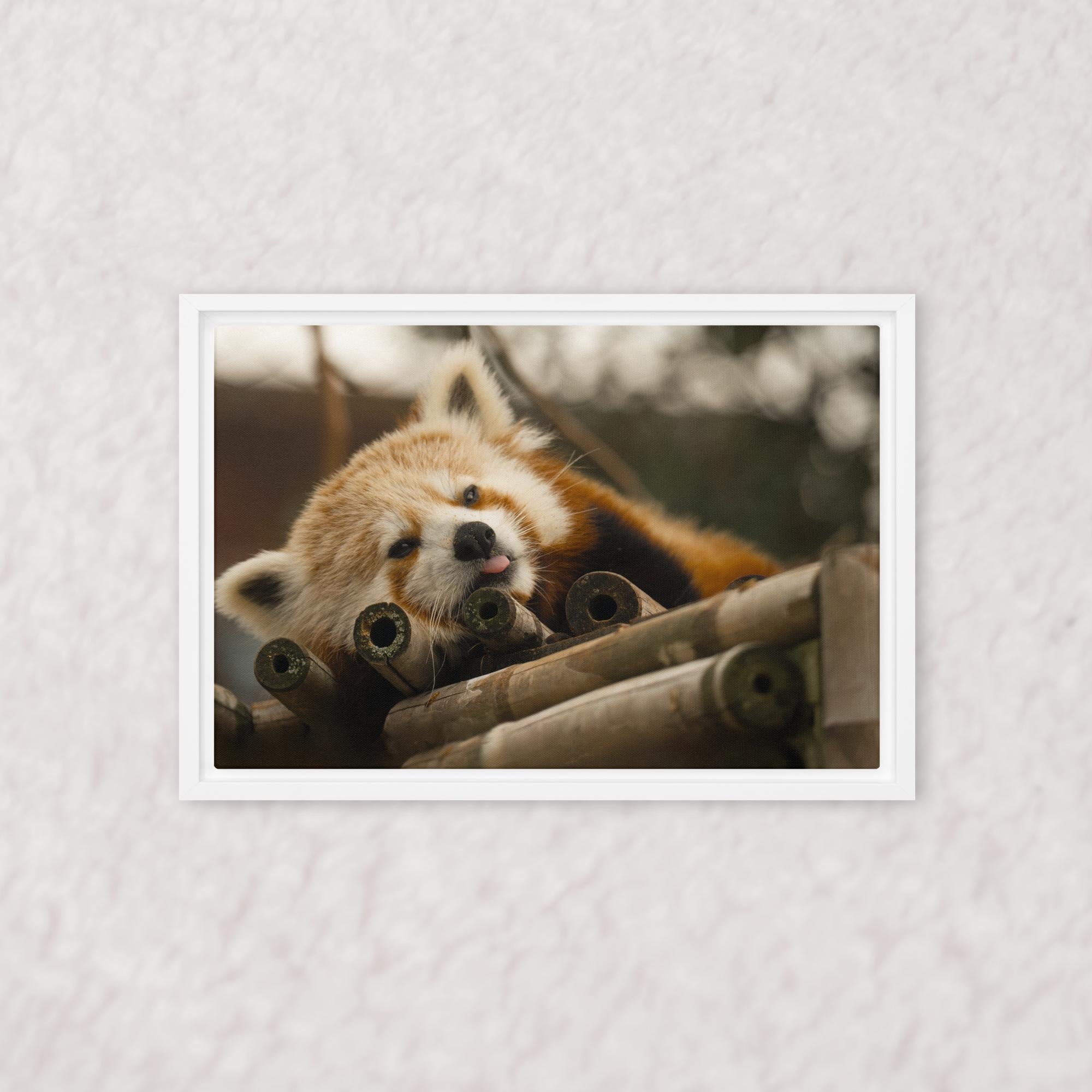 Cradled in Bamboo (Framed)