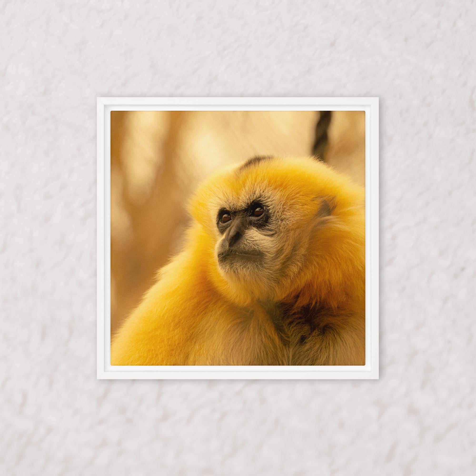 Jungle Gold (Framed)