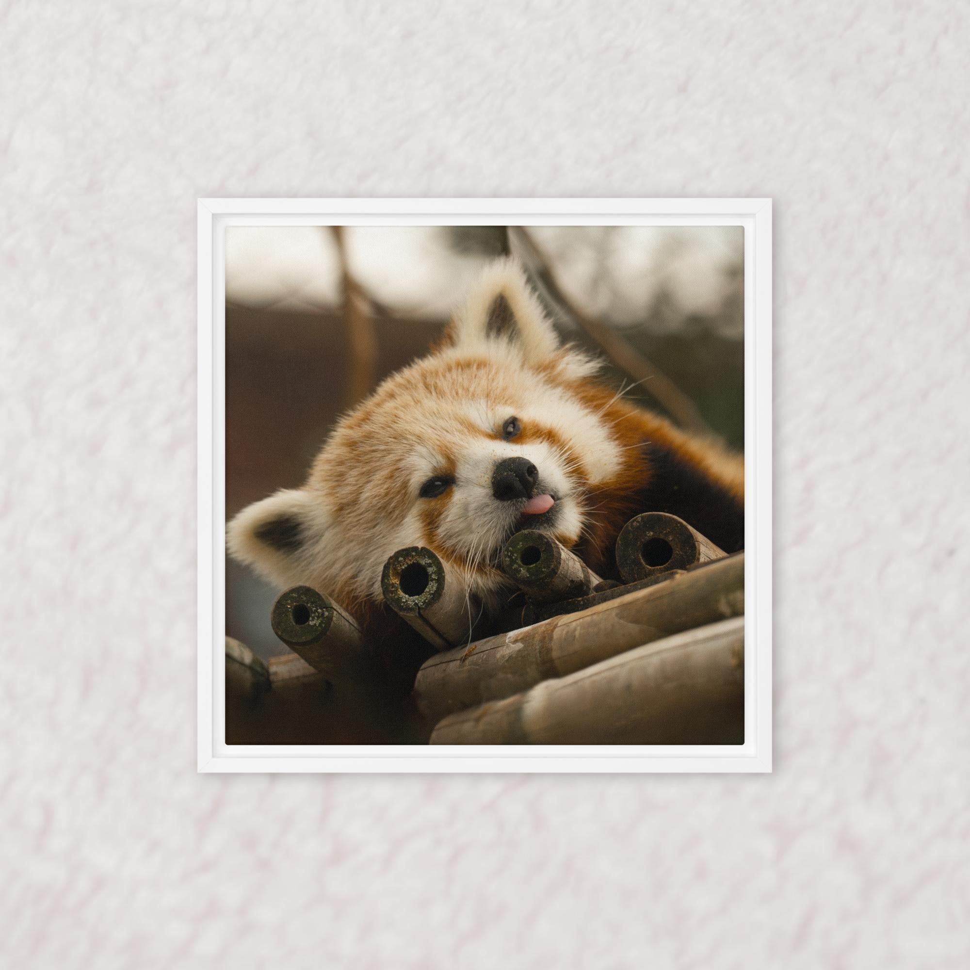 Cradled in Bamboo (Framed)