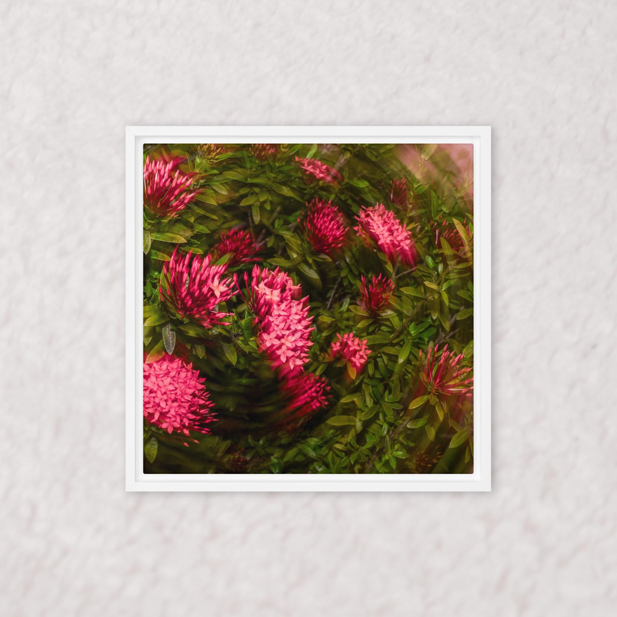 Spiraling Blossoms (Framed)