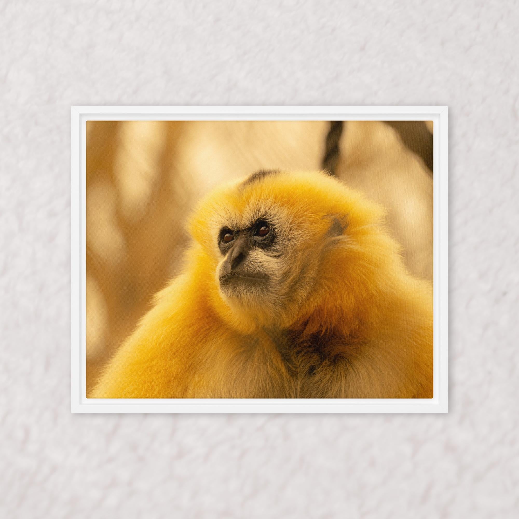 Jungle Gold (Framed)