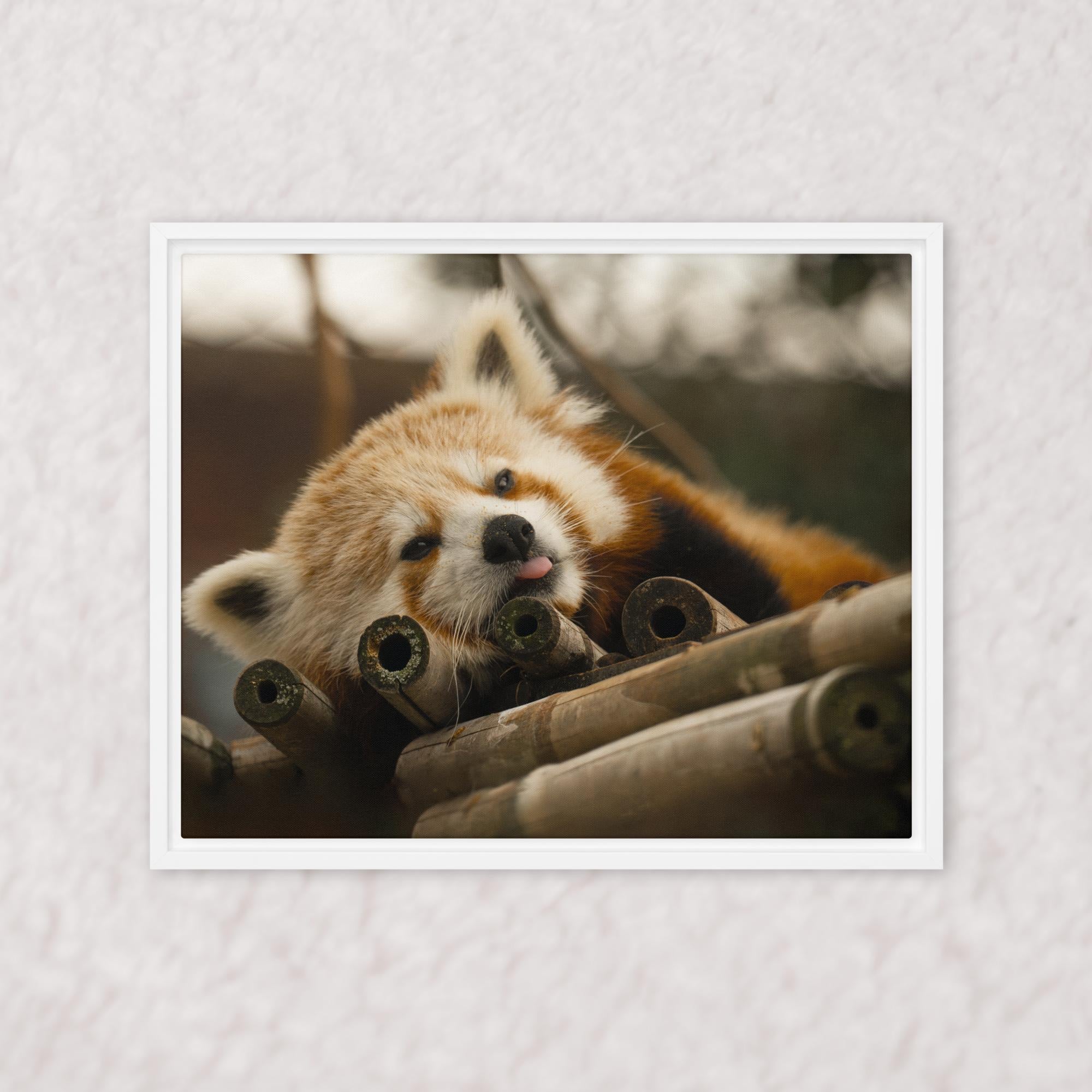 Cradled in Bamboo (Framed)