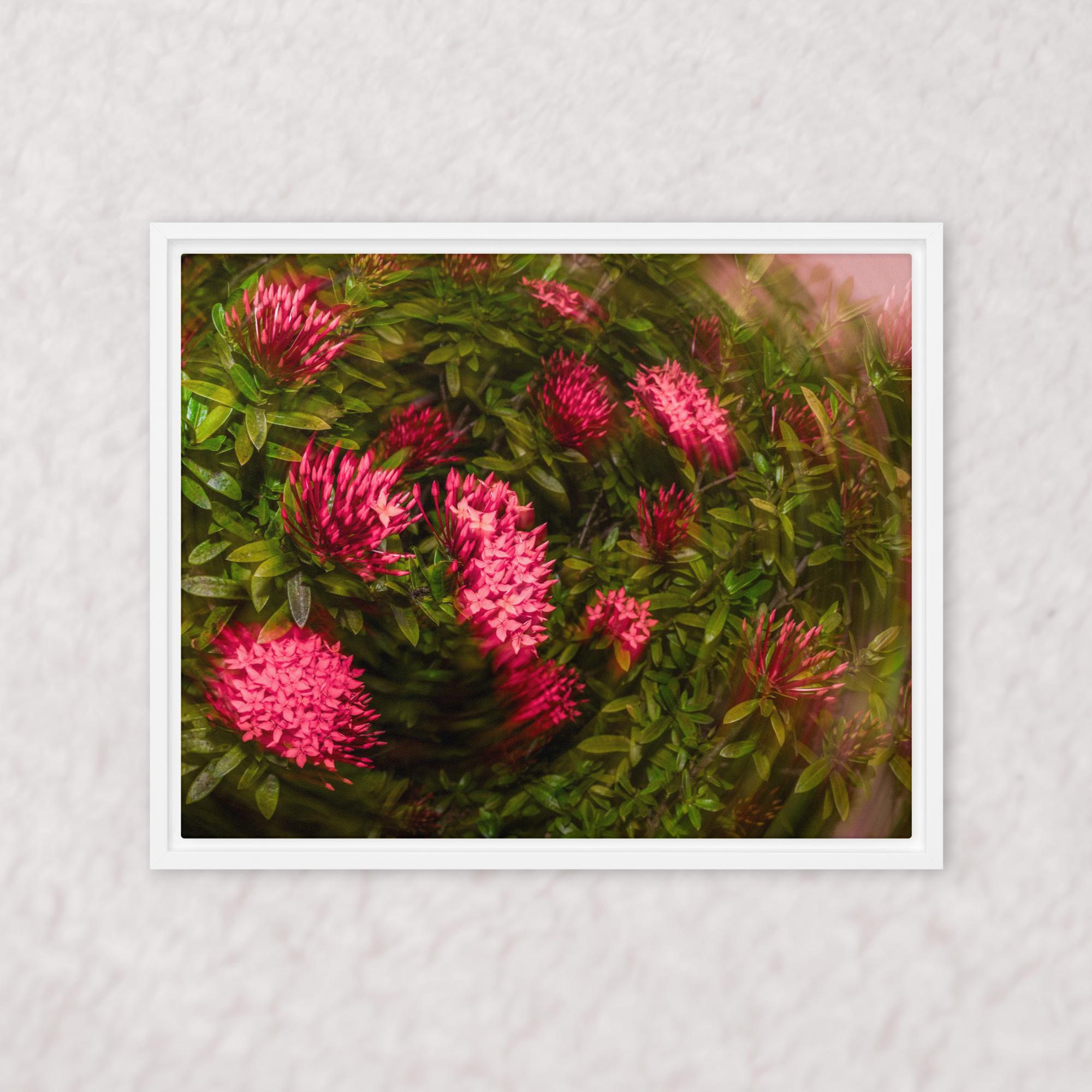 Spiraling Blossoms (Framed)