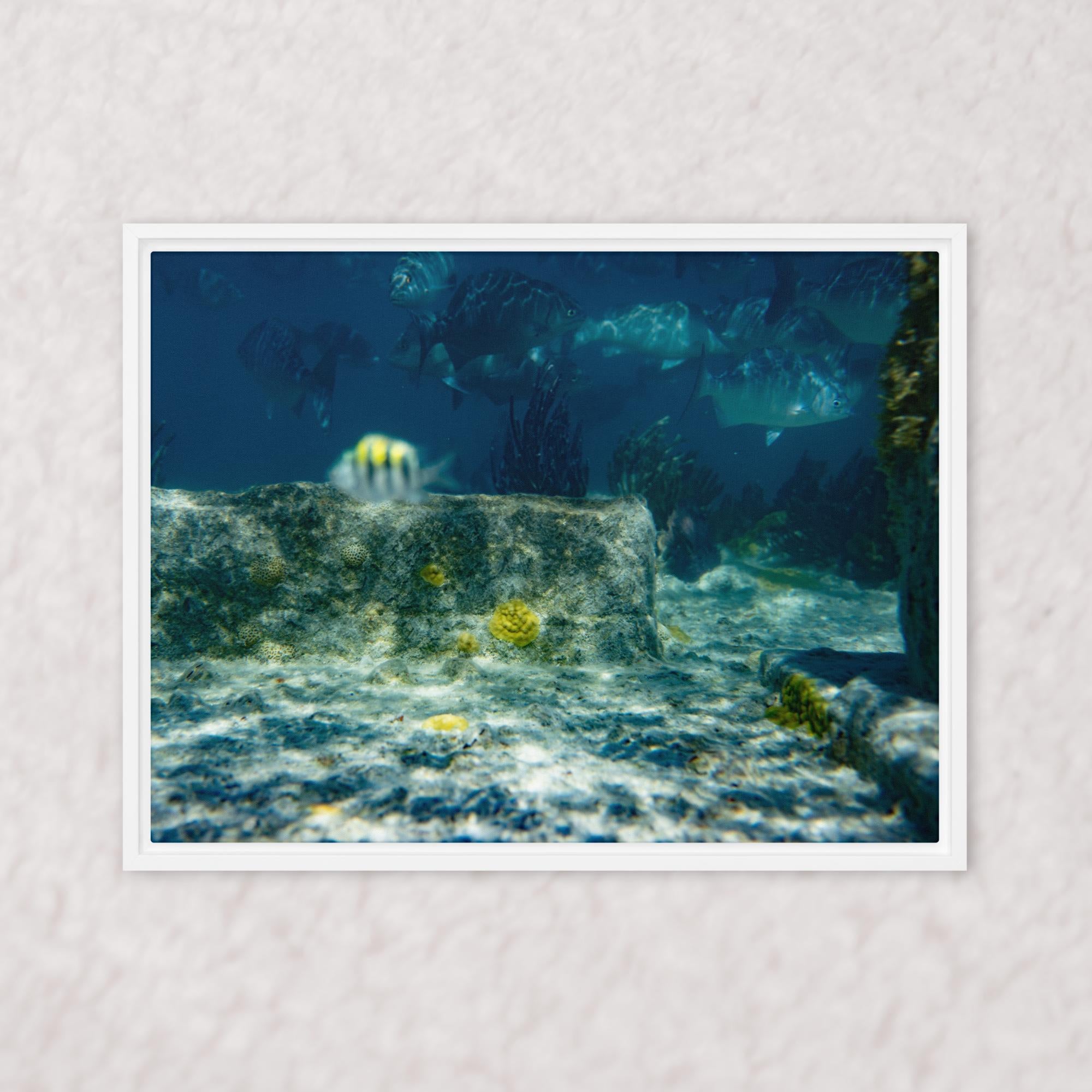 Drifted Depths (Framed)