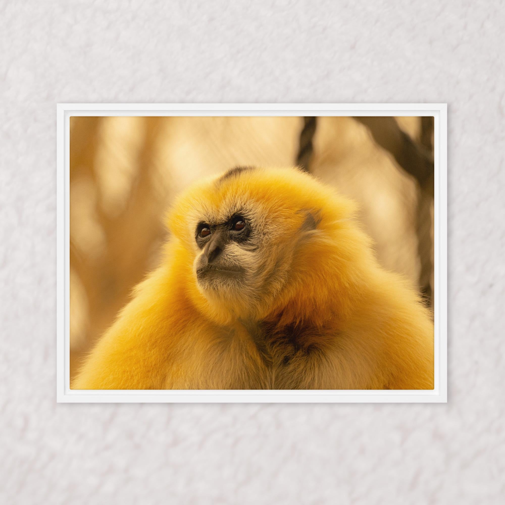 Jungle Gold (Framed)