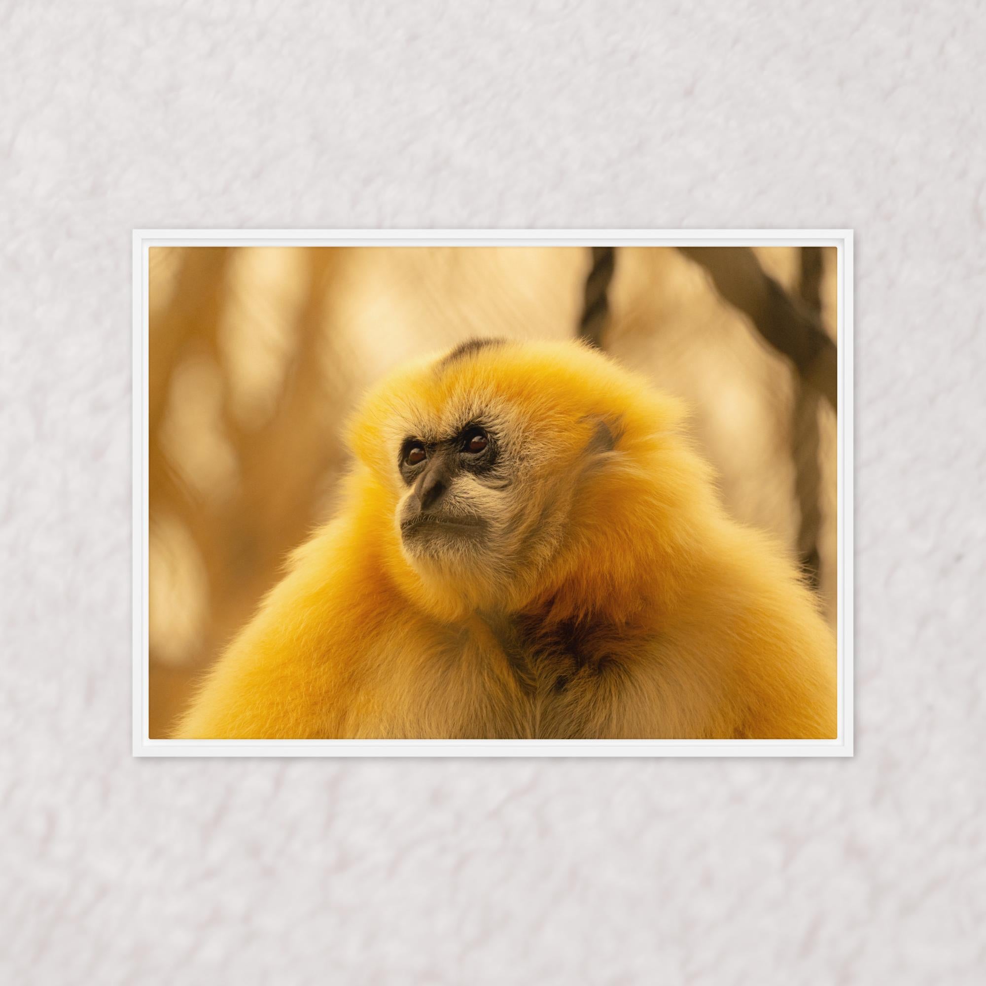 Jungle Gold (Framed)