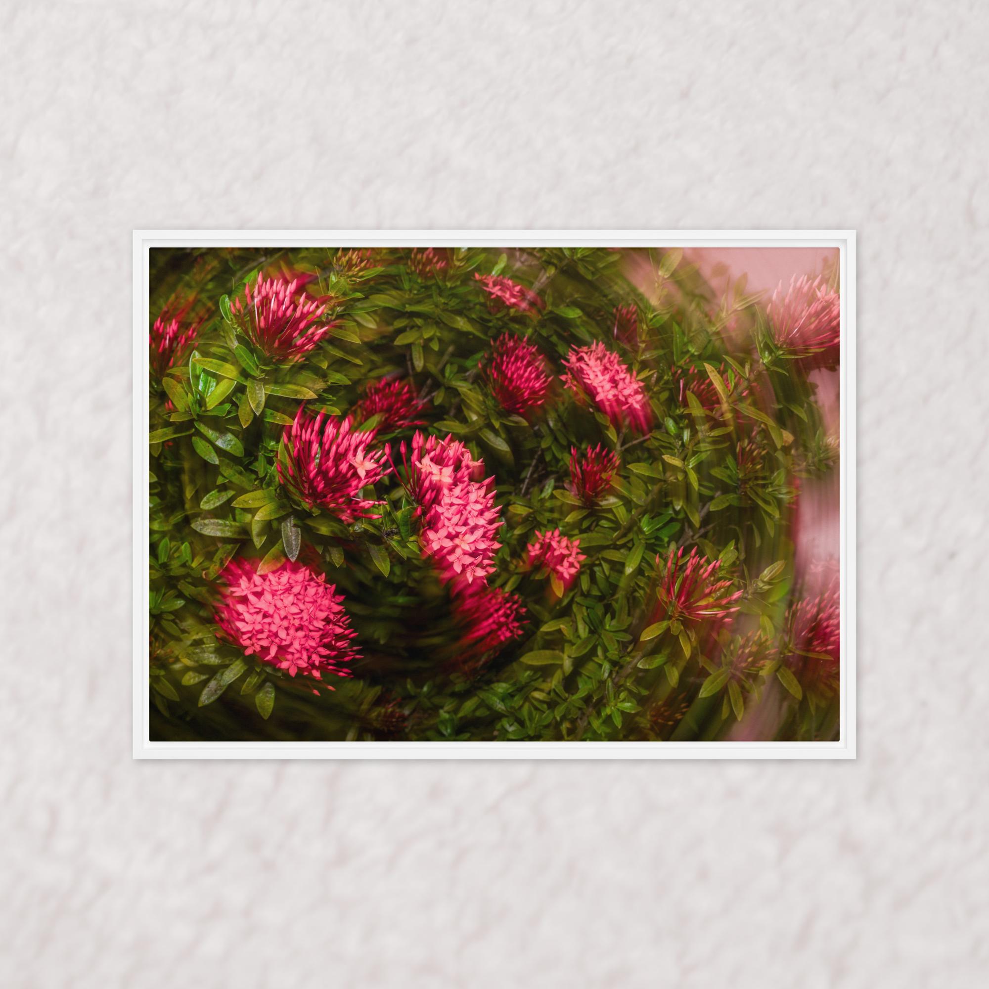 Spiraling Blossoms (Framed)