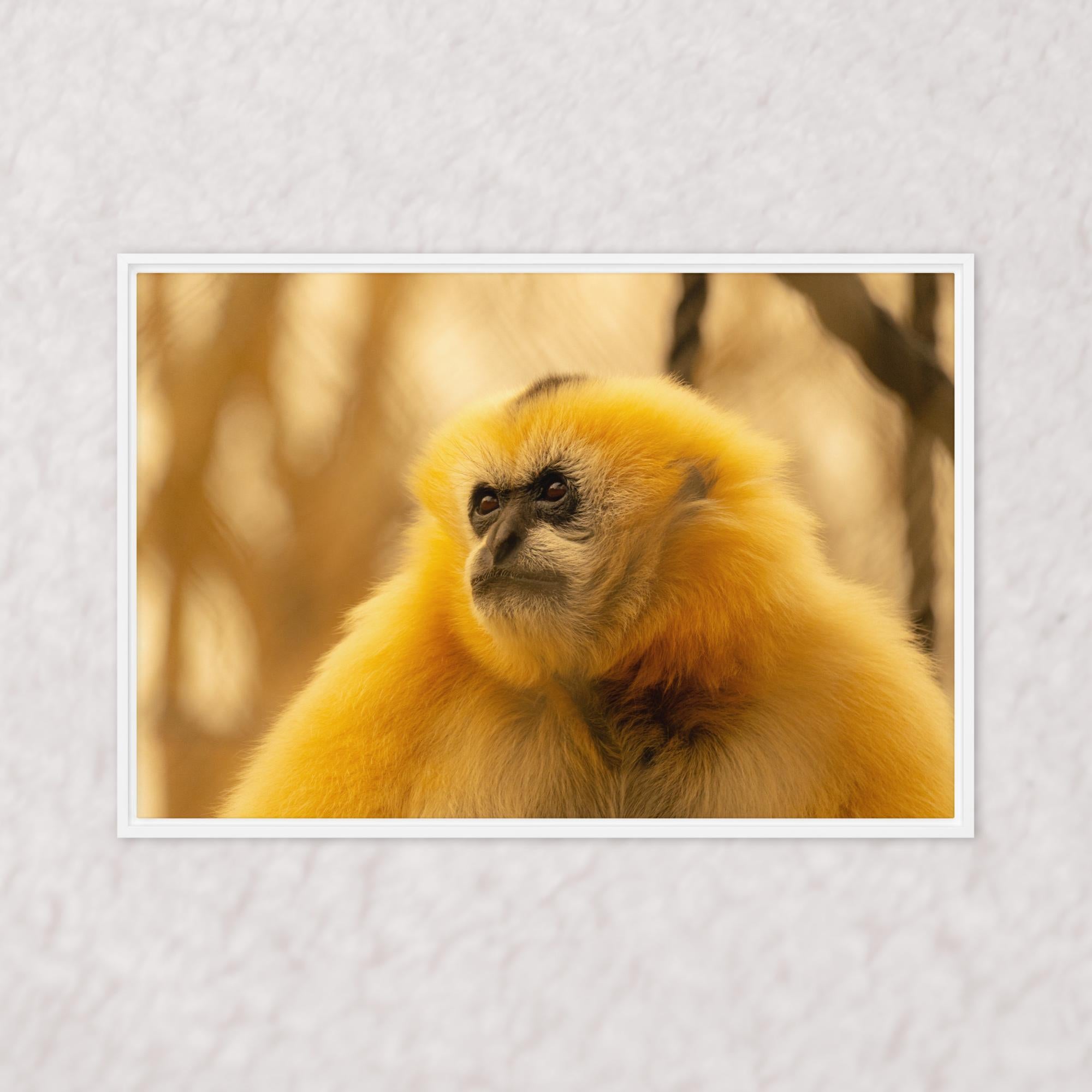 Jungle Gold (Framed)