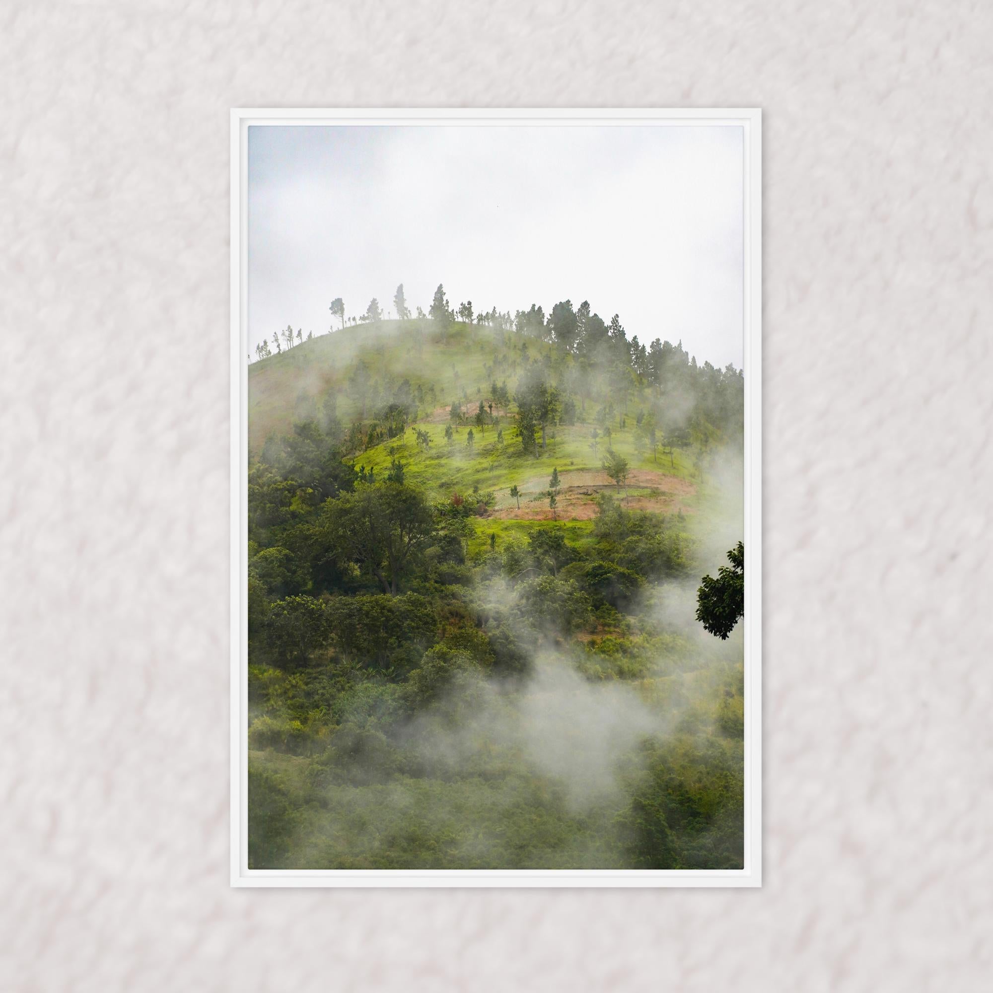 Whispers of the Hill (Framed)