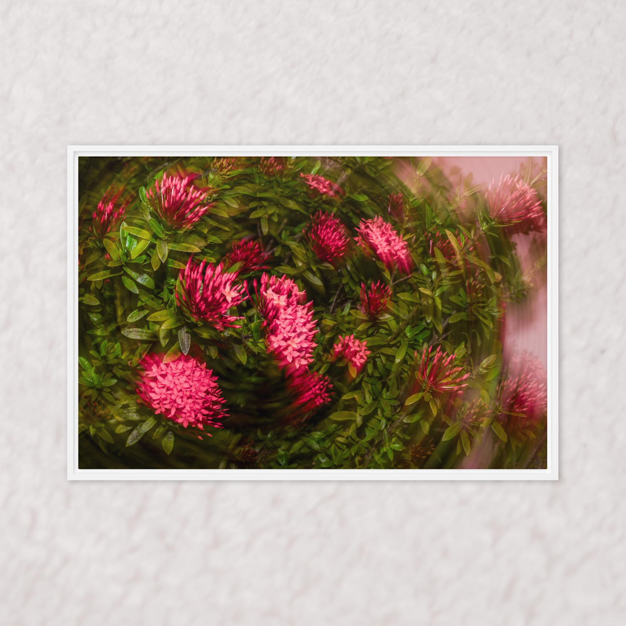 Spiraling Blossoms (Framed)