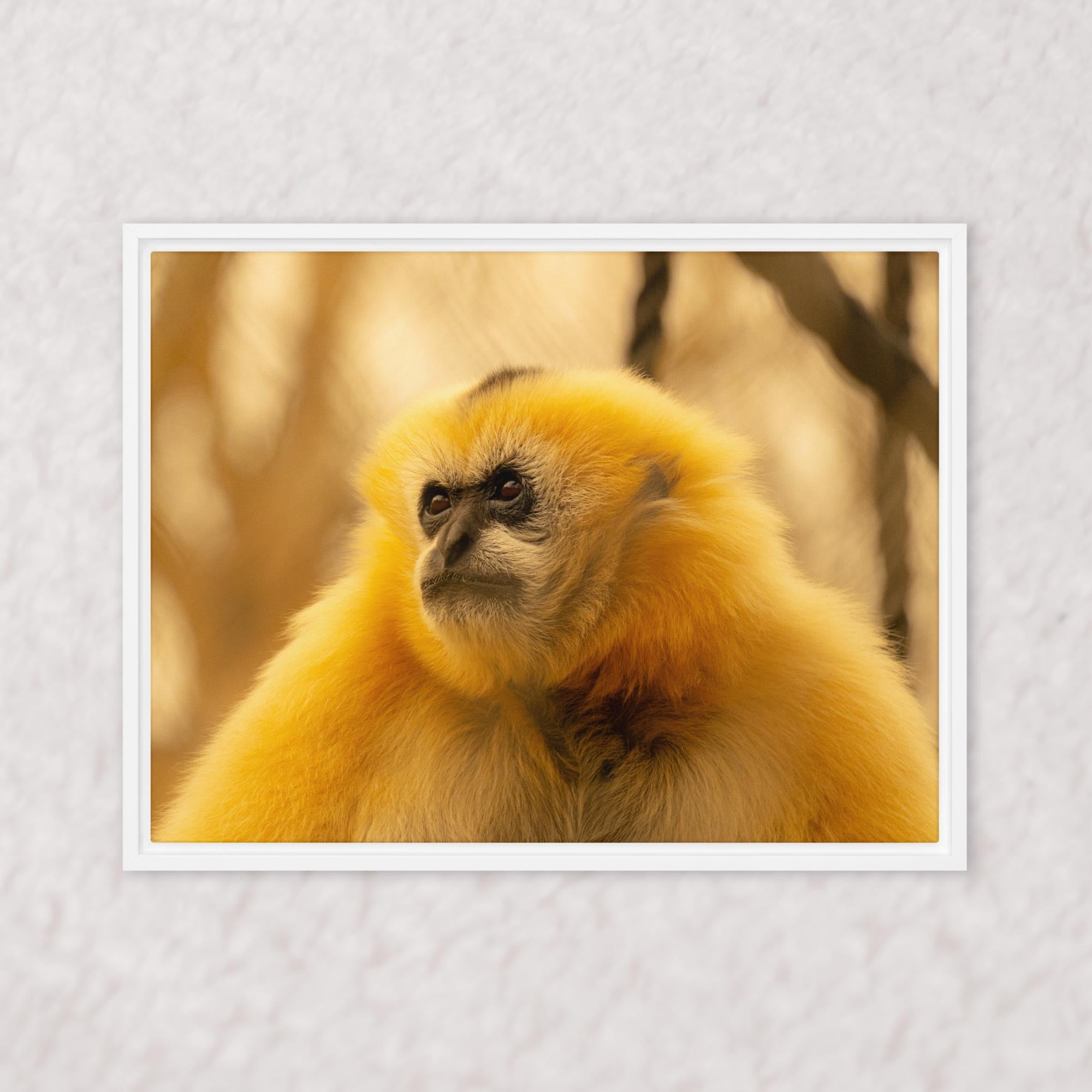 Jungle Gold (Framed)