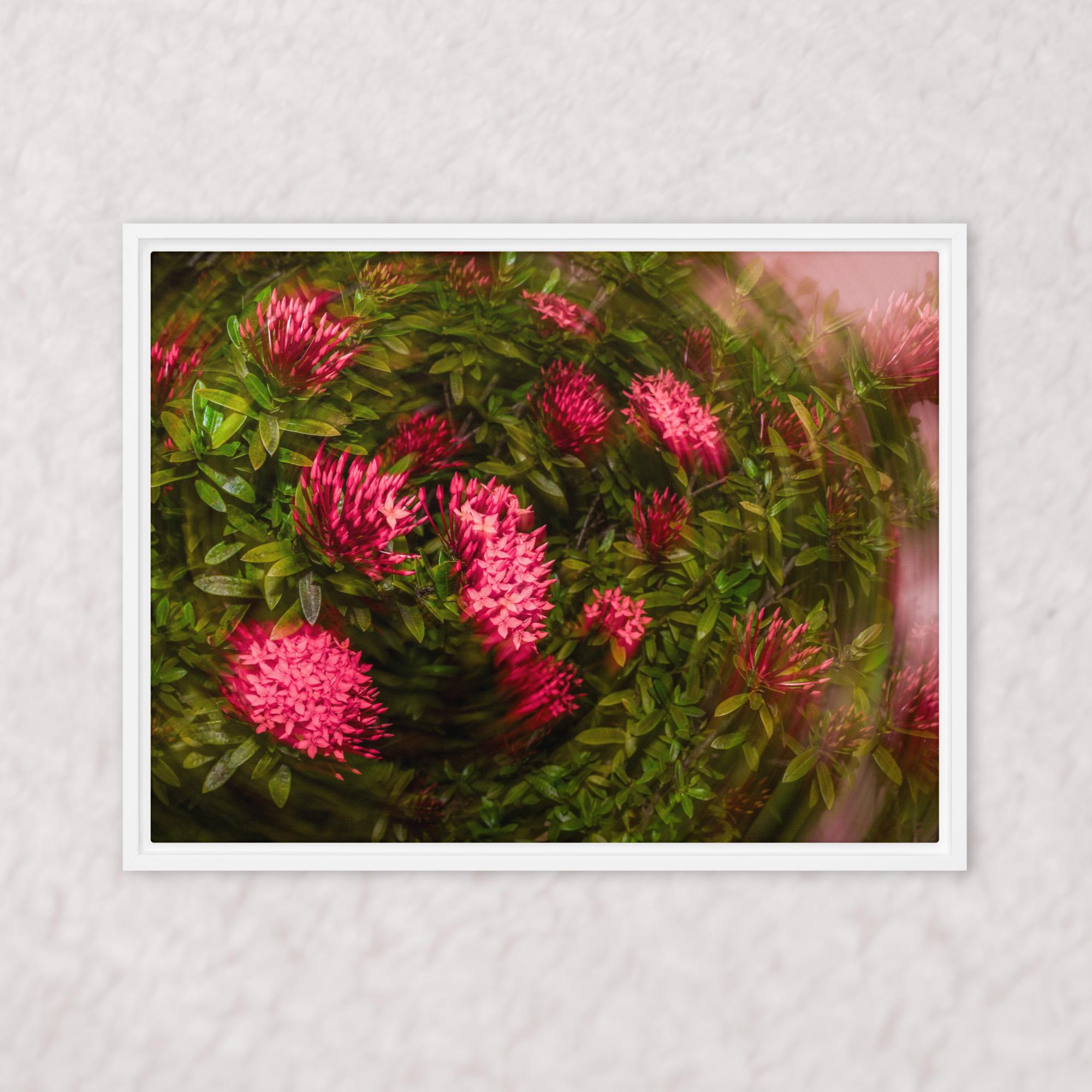 Spiraling Blossoms (Framed)