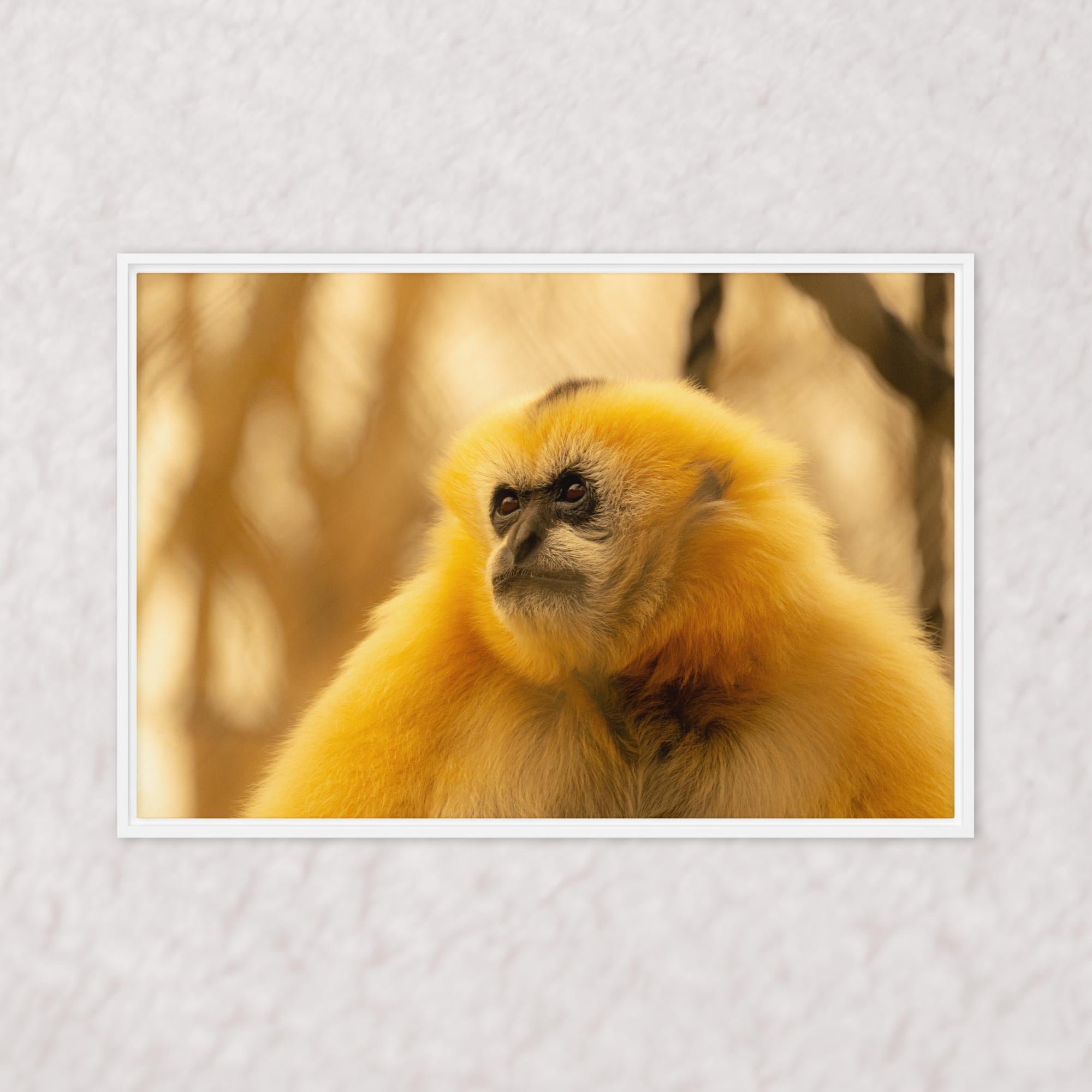 Jungle Gold (Framed)