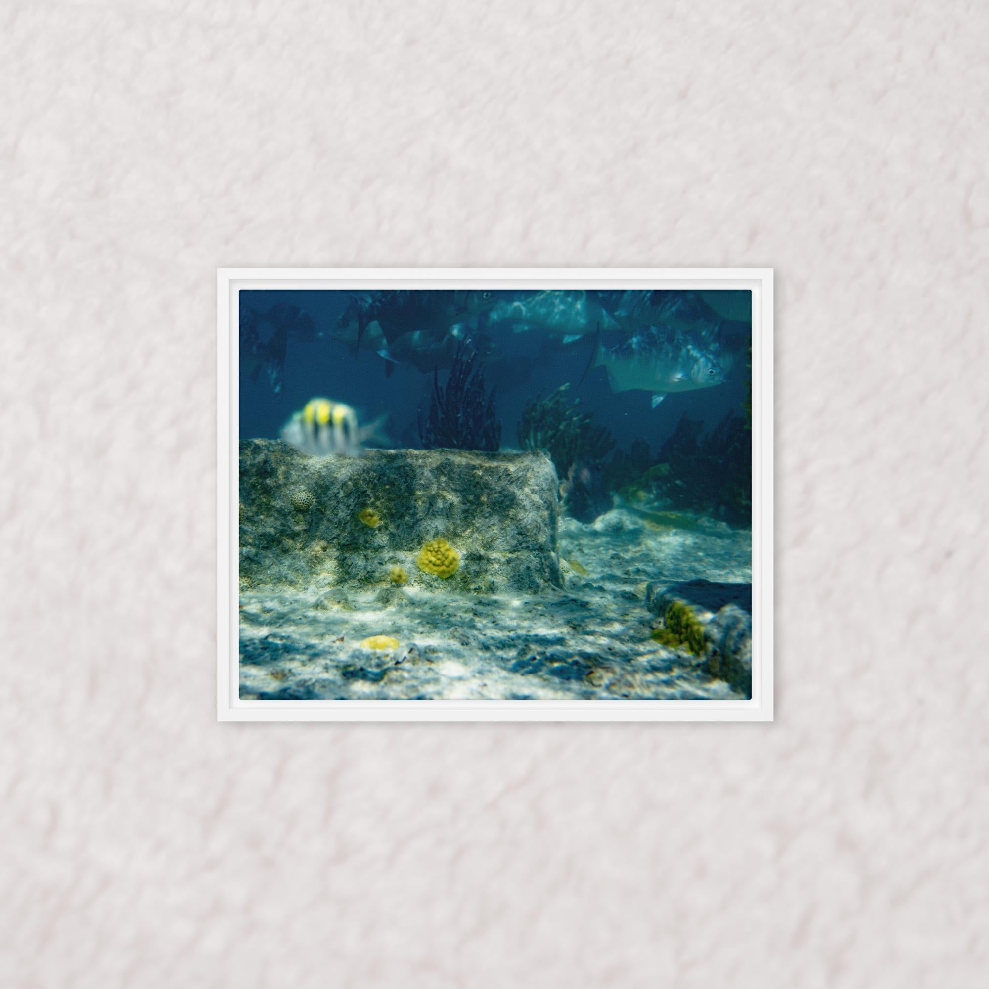 Drifted Depths (Framed)