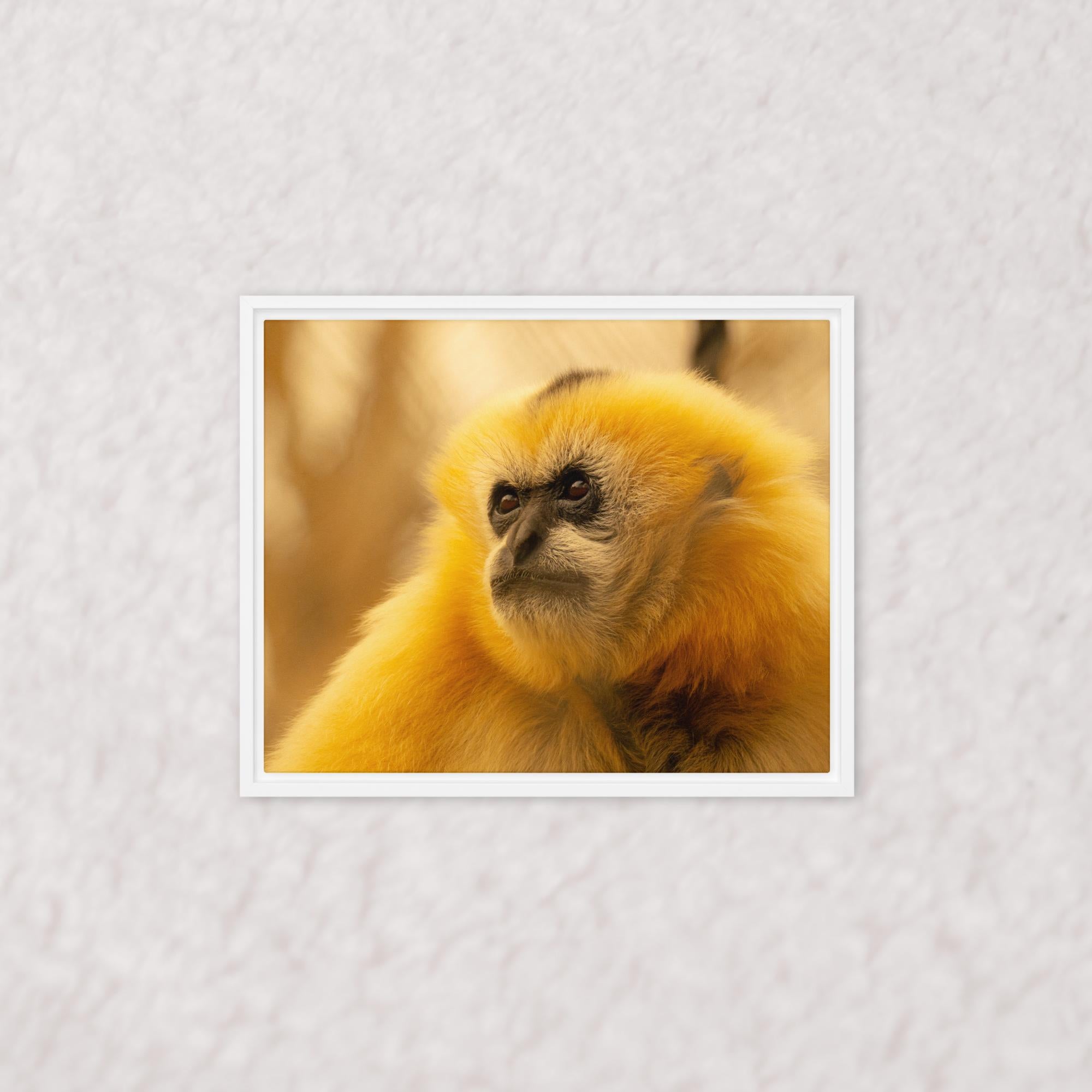 Jungle Gold (Framed)