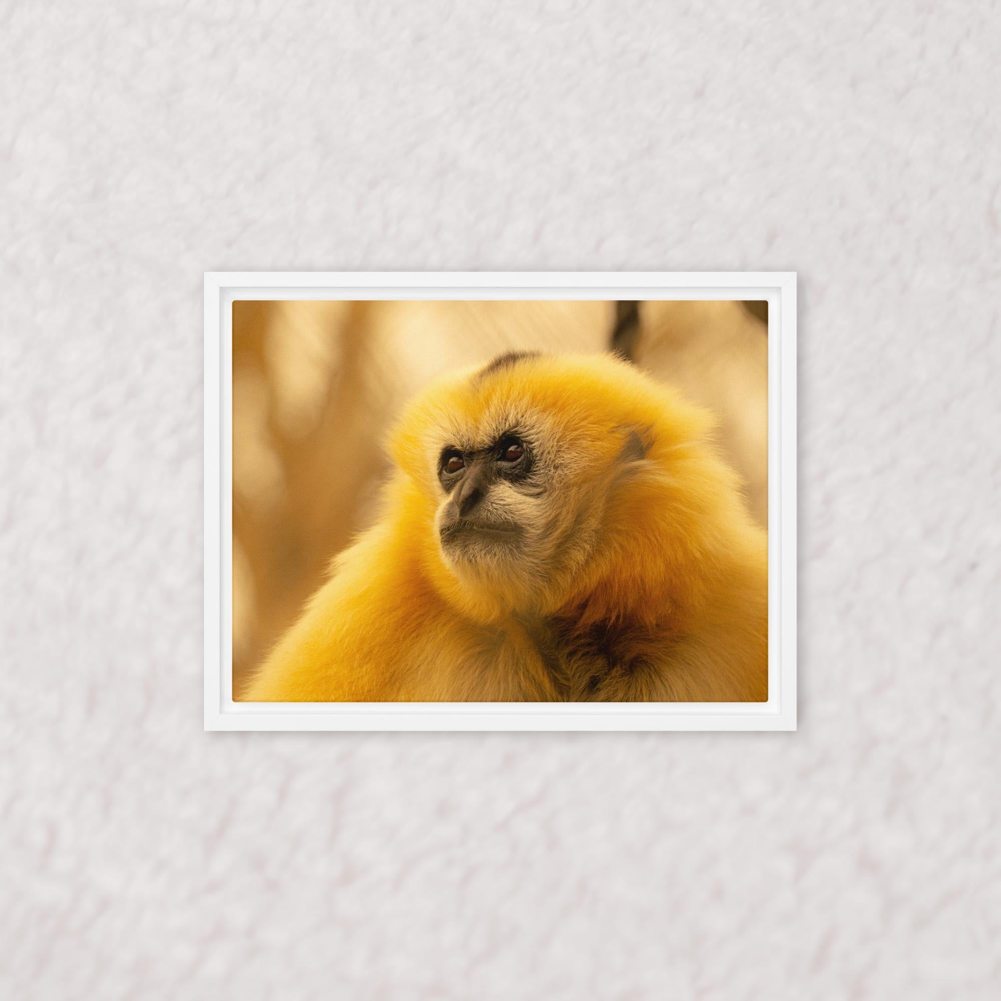 Jungle Gold (Framed)