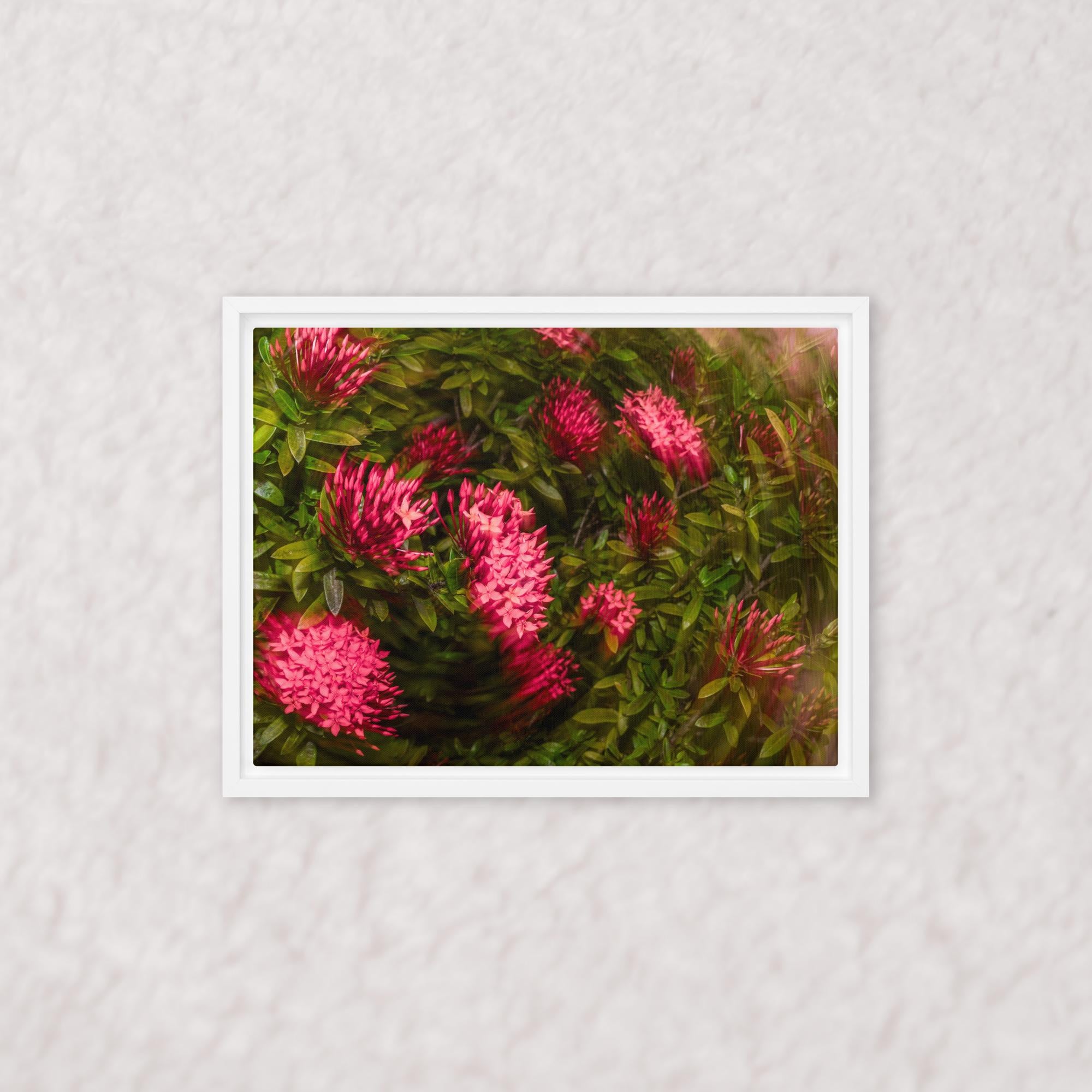 Spiraling Blossoms (Framed)