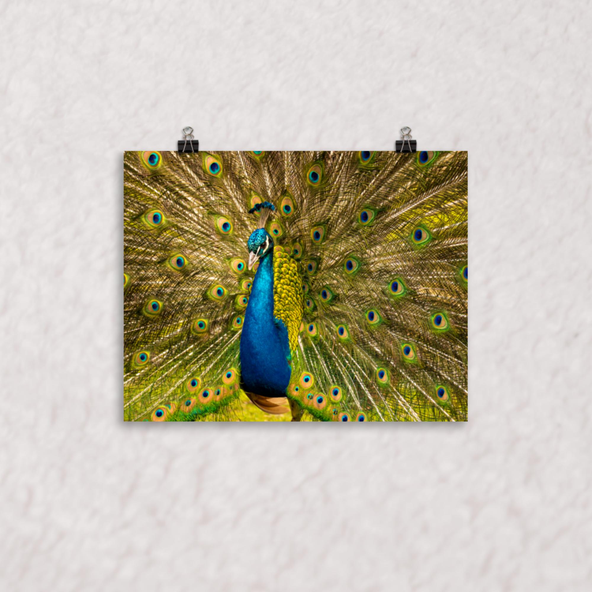 Royal Display Poster