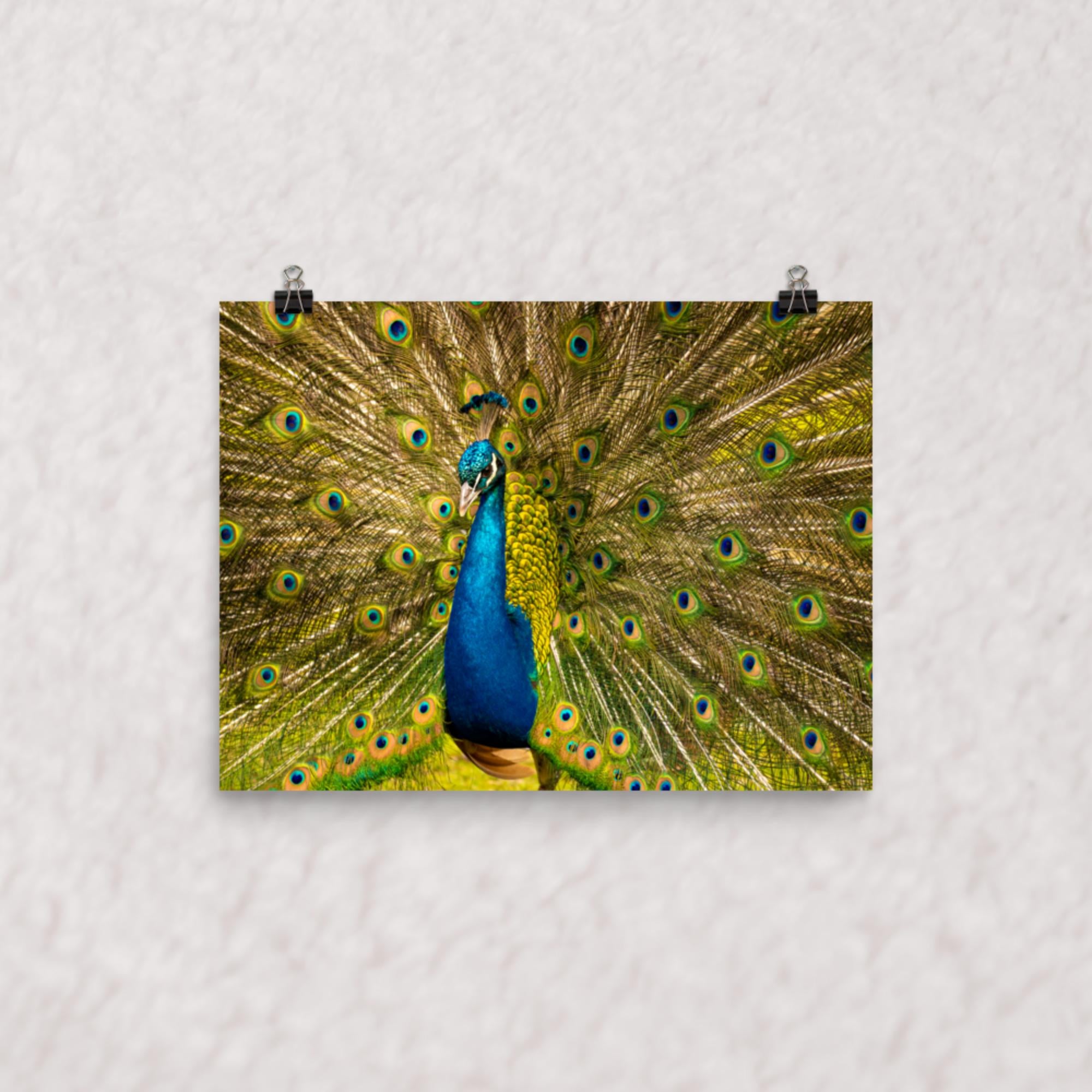 Royal Display Poster