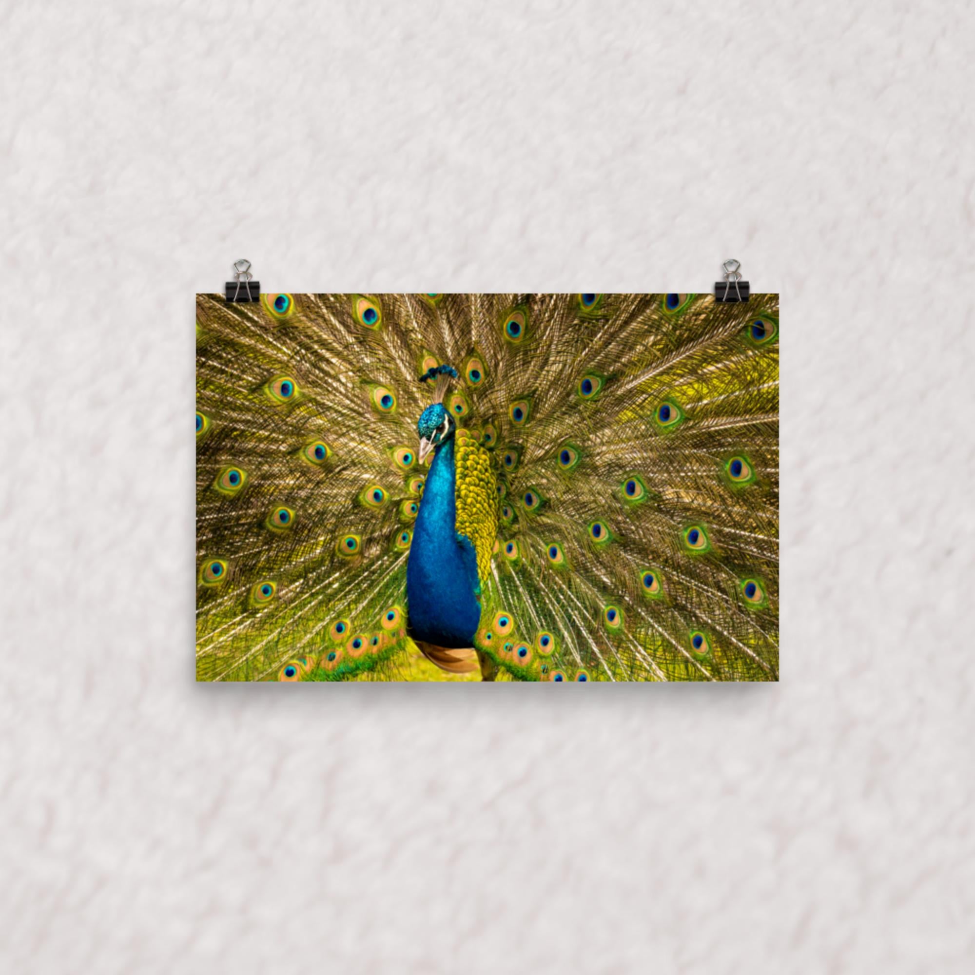 Royal Display Poster