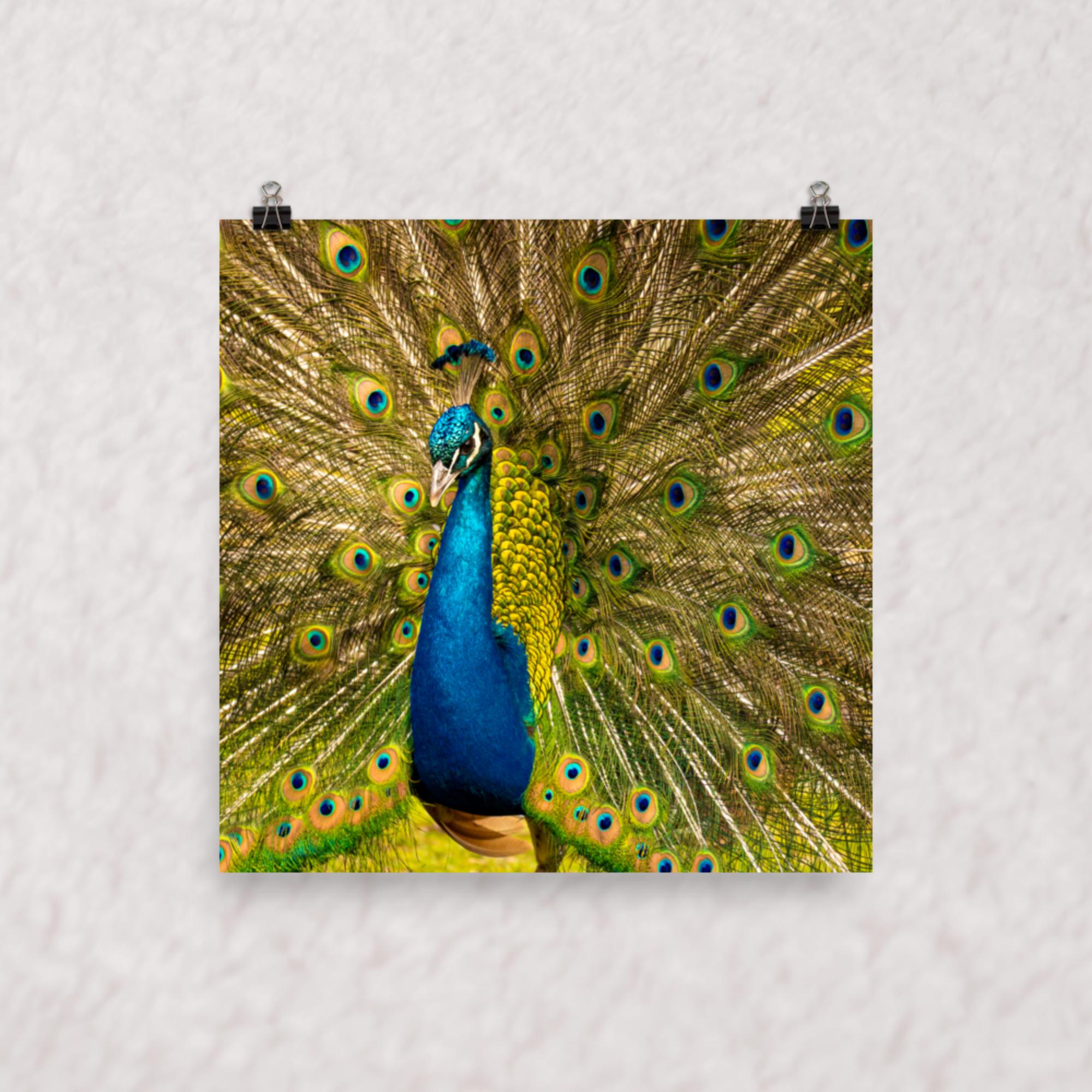 Royal Display Poster