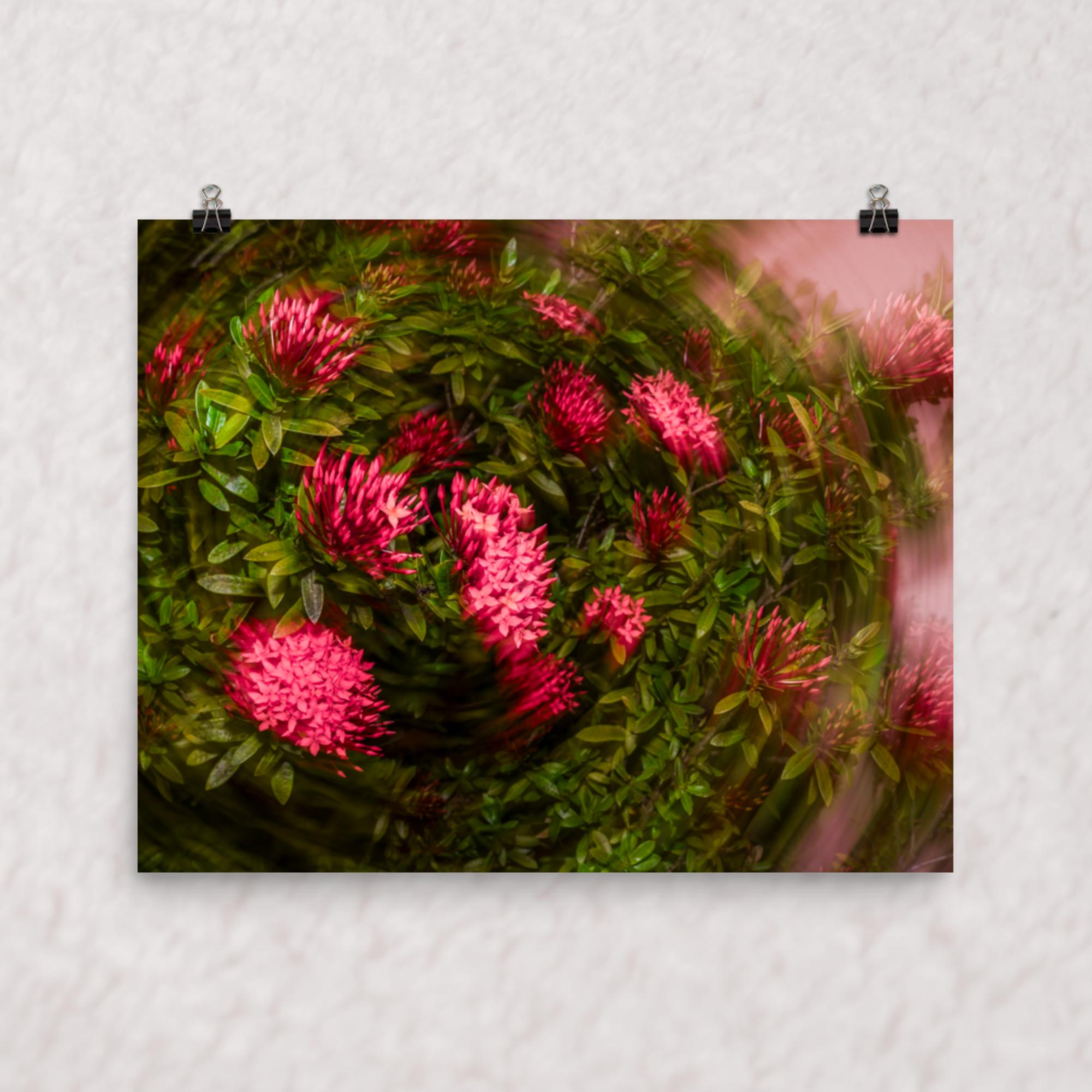 Spiraling Blossoms Poster