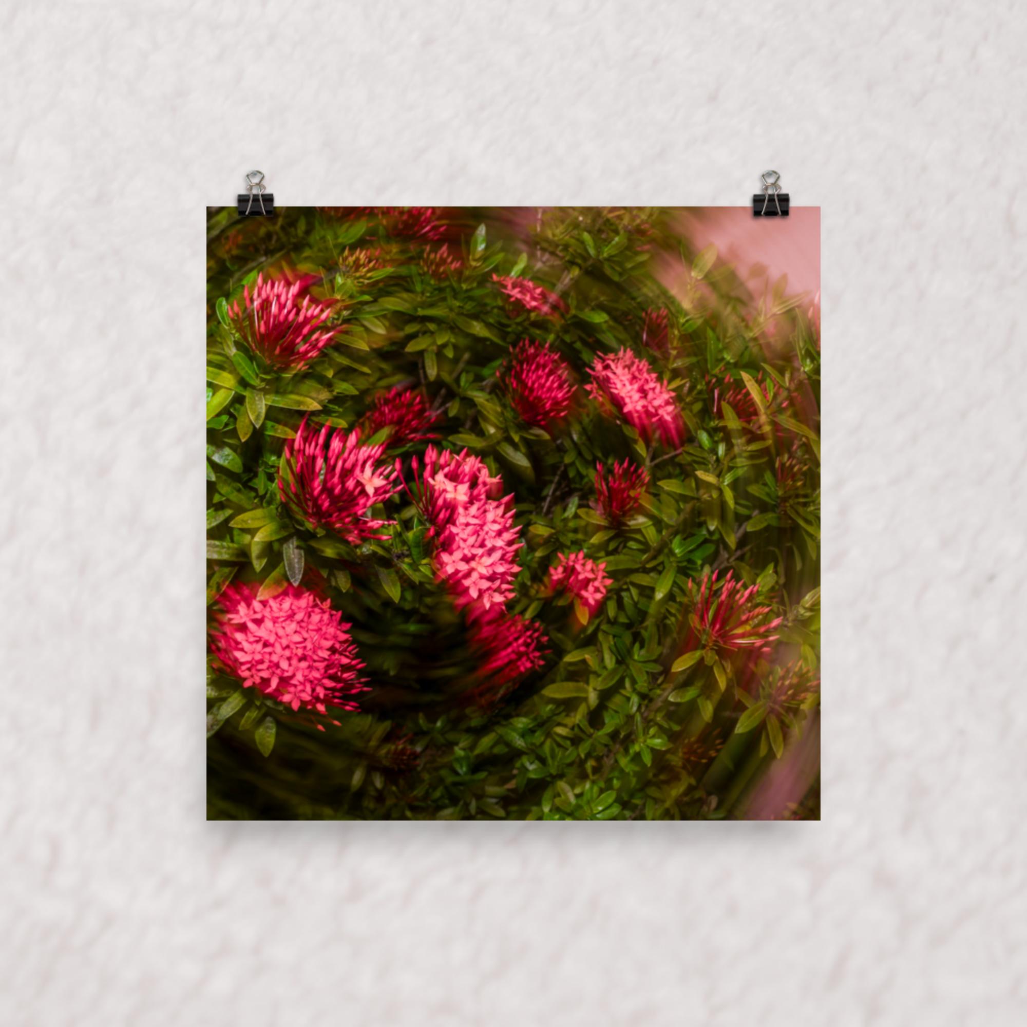 Spiraling Blossoms Poster