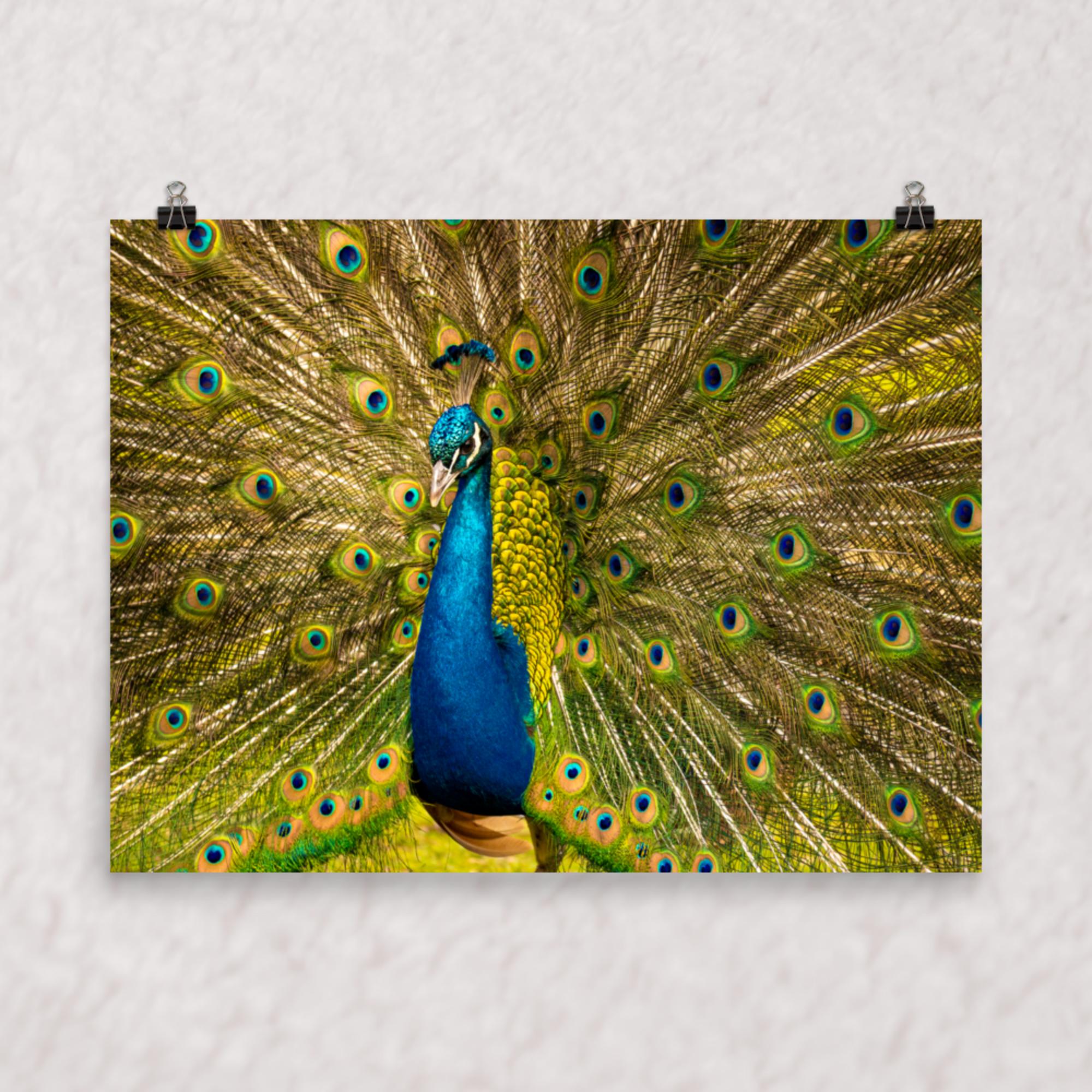 Royal Display Poster