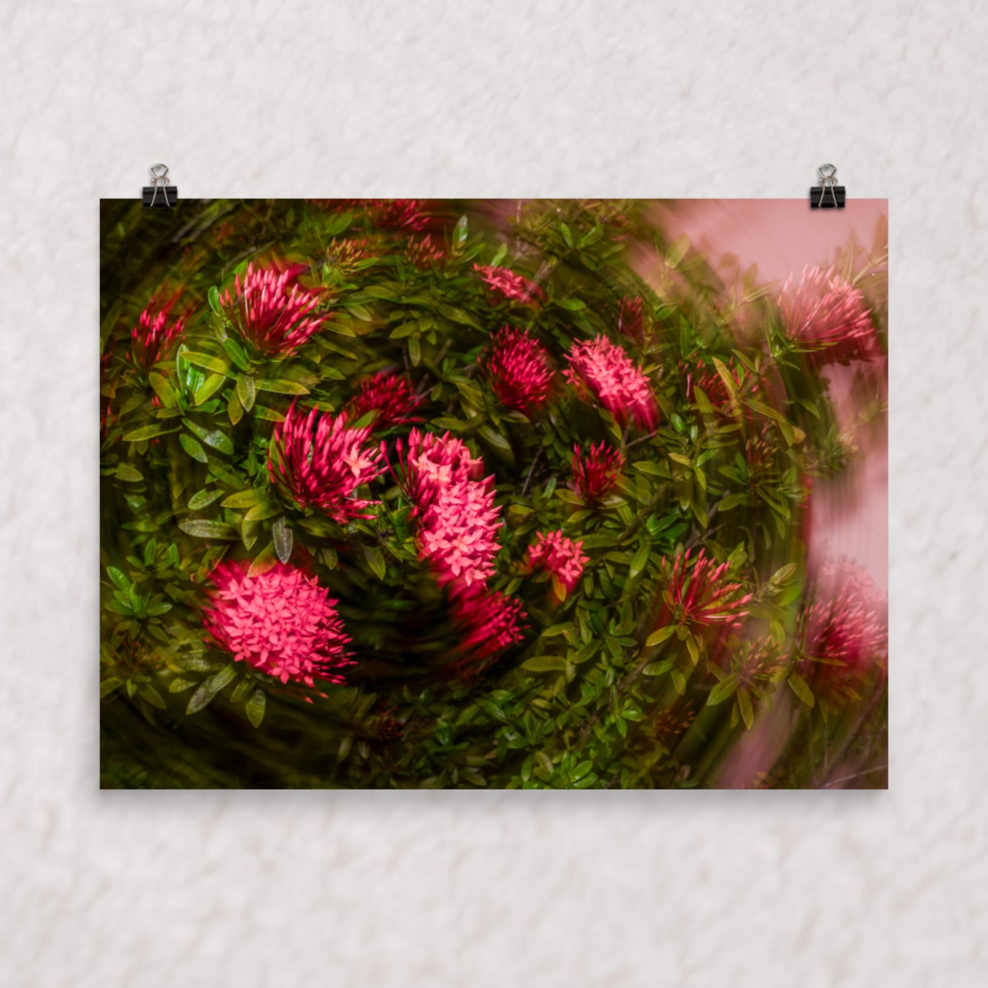 Spiraling Blossoms Poster