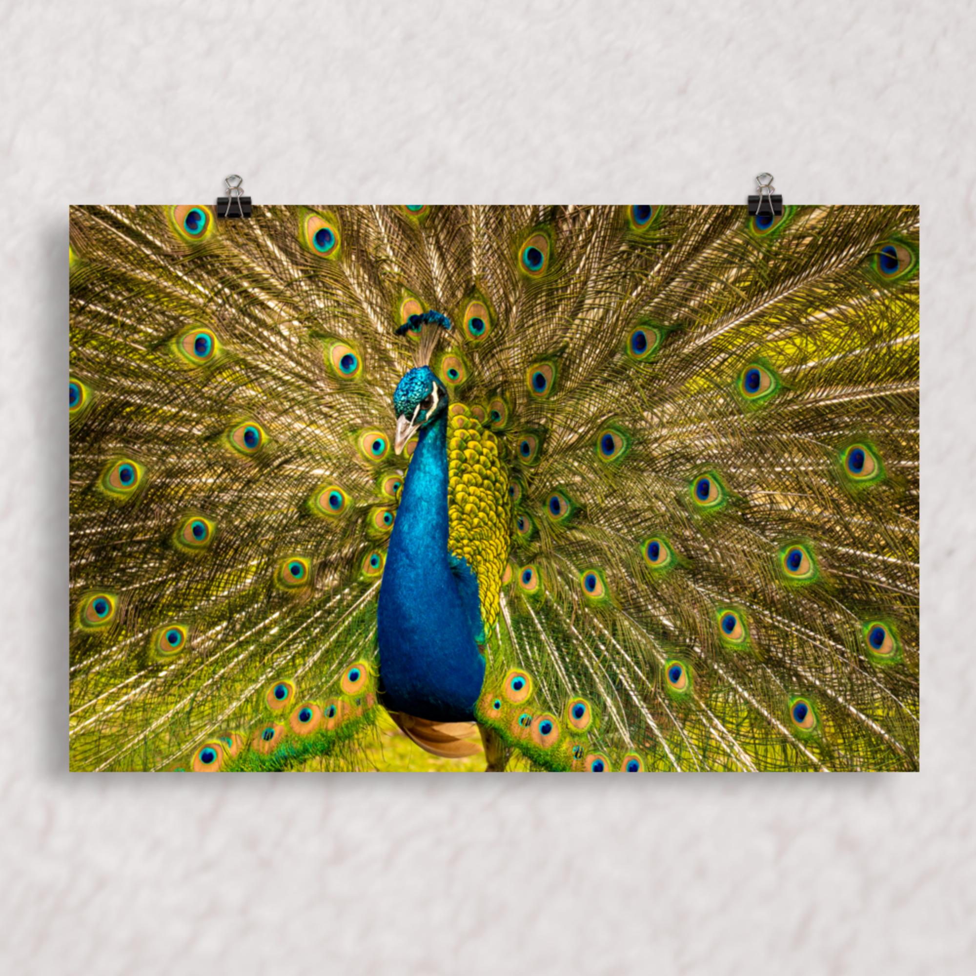 Royal Display Poster