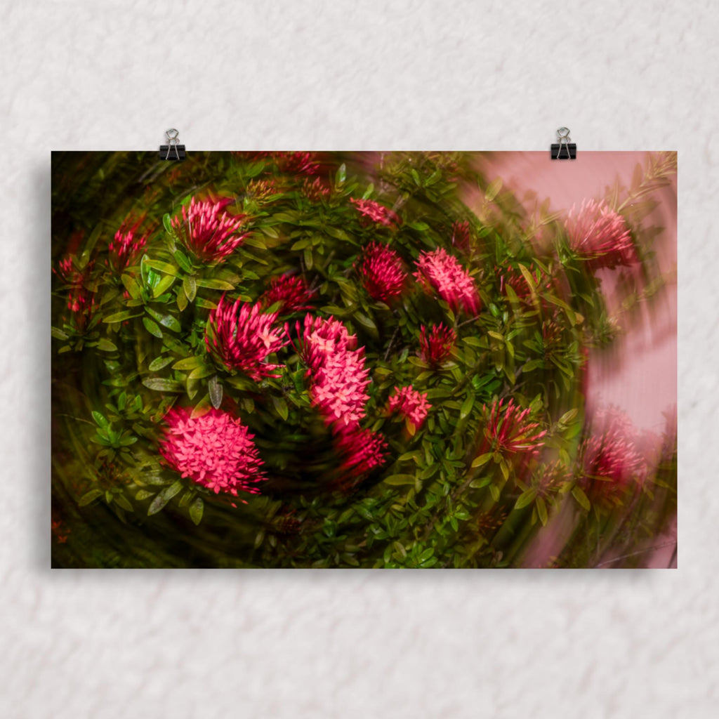 Spiraling Blossoms Poster